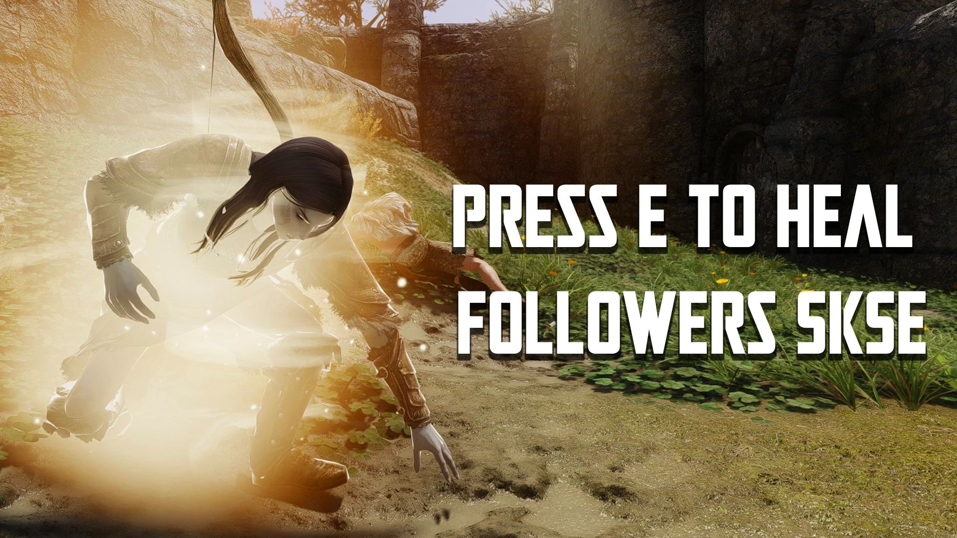 Press E to Heal Followers SKSE mod for The Elder Scrolls V: Skyrim Special Edition
