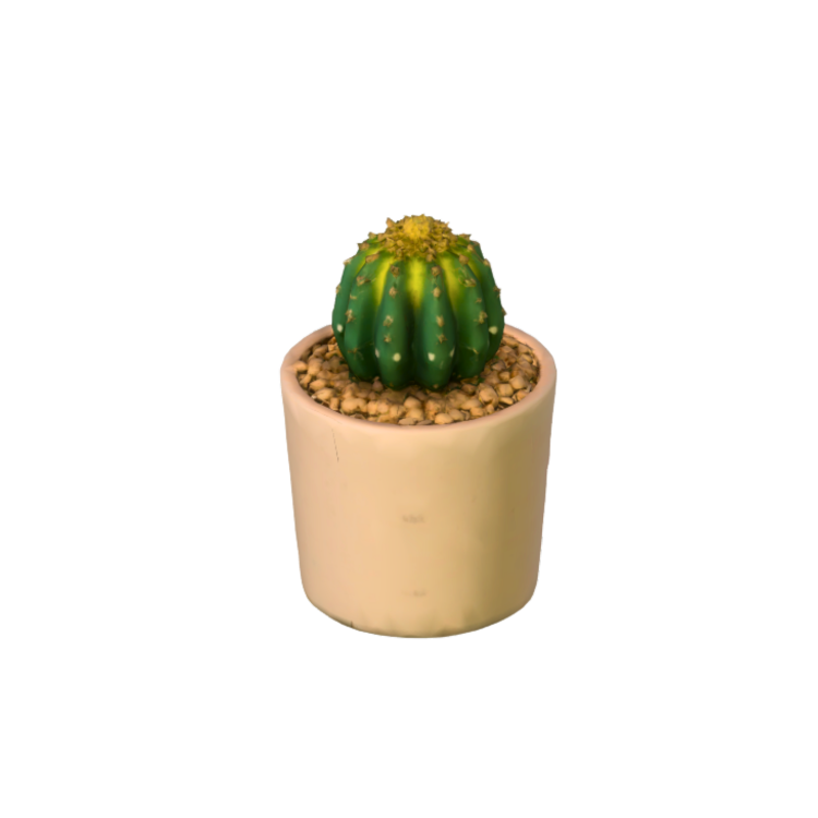 Desert Zen mod for The Sims 4 