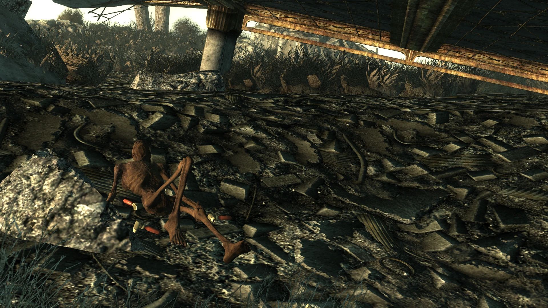 Wasteland Decay mod for Fallout 3