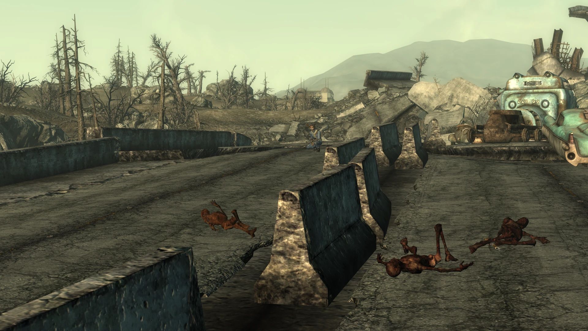 Wasteland Decay mod for Fallout 3