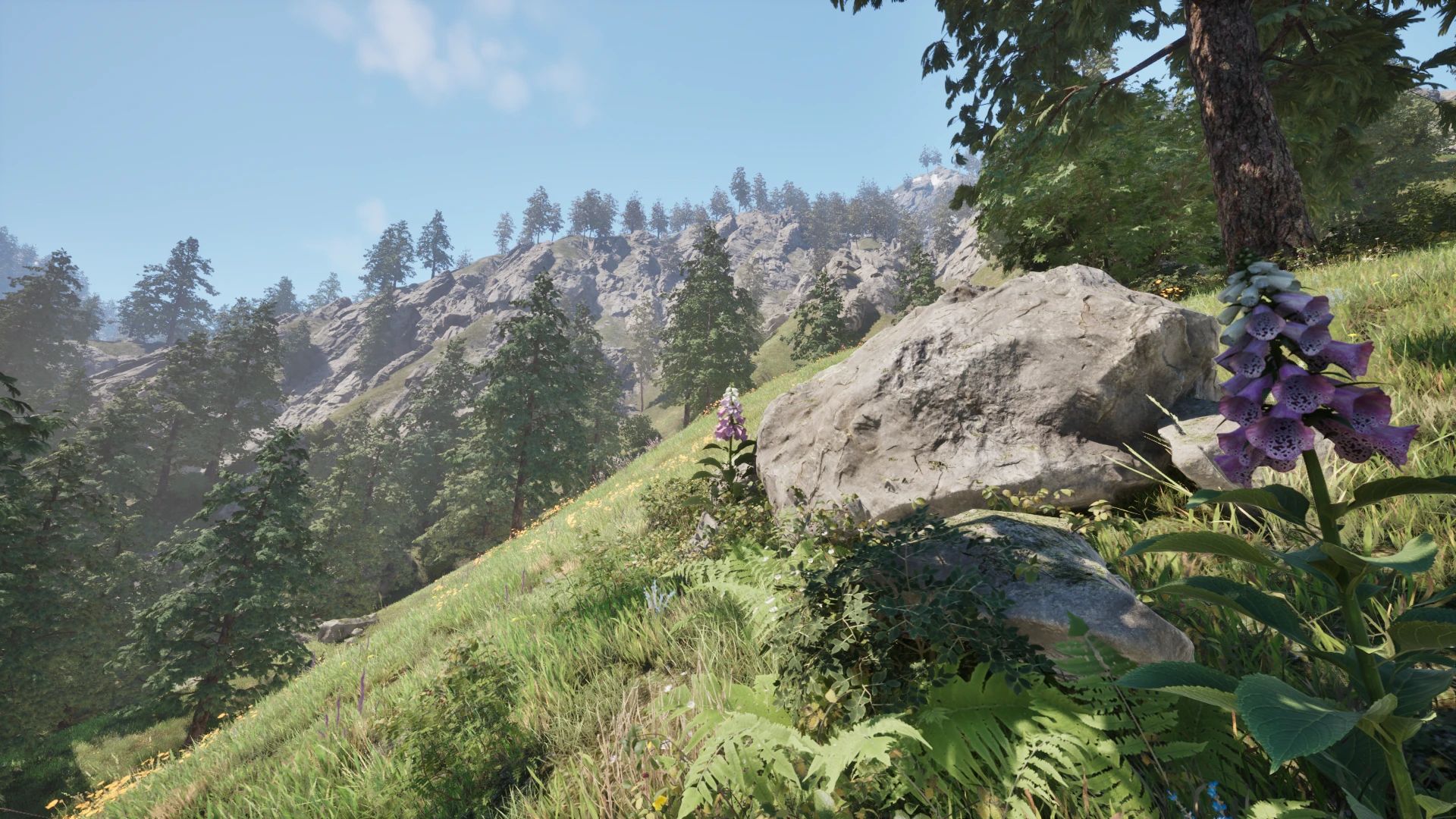 Cliffs of Cyrodiil mod for The Elder Scrolls IV: Oblivion Remastered