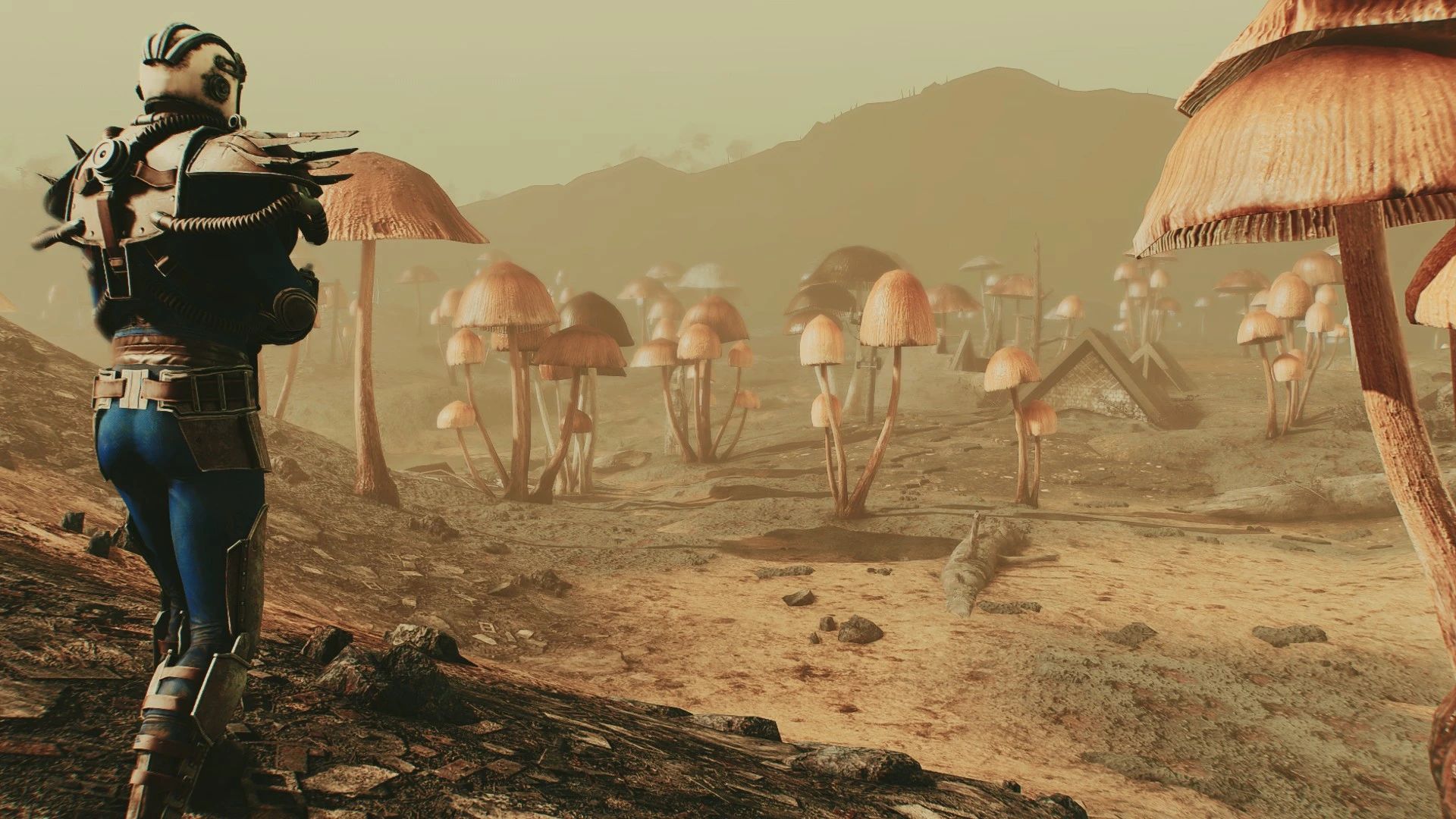 The Fungal Forest mod for Fallout 4
