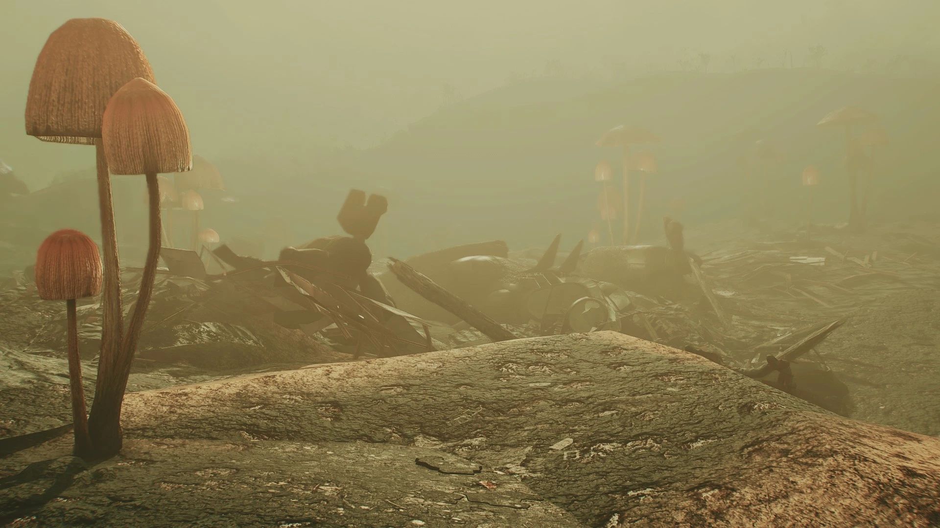 The Fungal Forest mod for Fallout 4