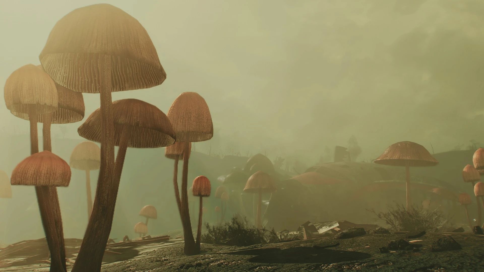 The Fungal Forest mod for Fallout 4