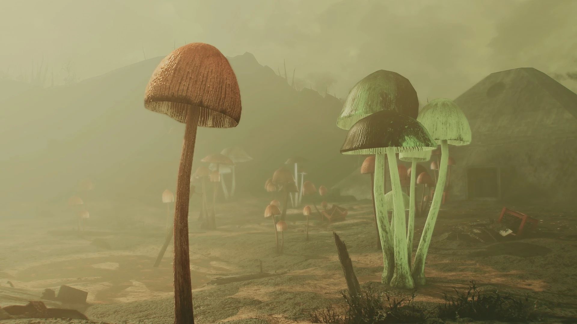 The Fungal Forest mod for Fallout 4