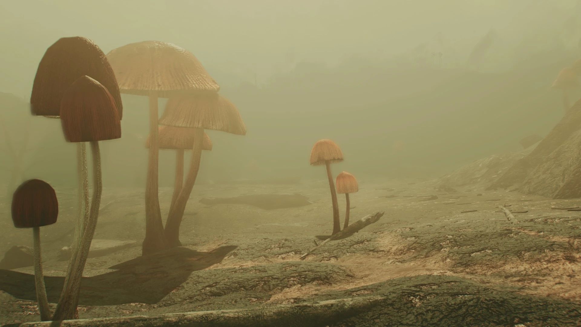 The Fungal Forest mod for Fallout 4
