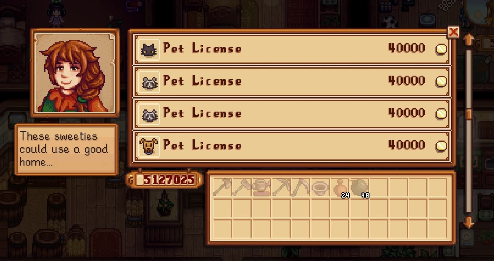 Raccoon Pet mod for Stardew Valley