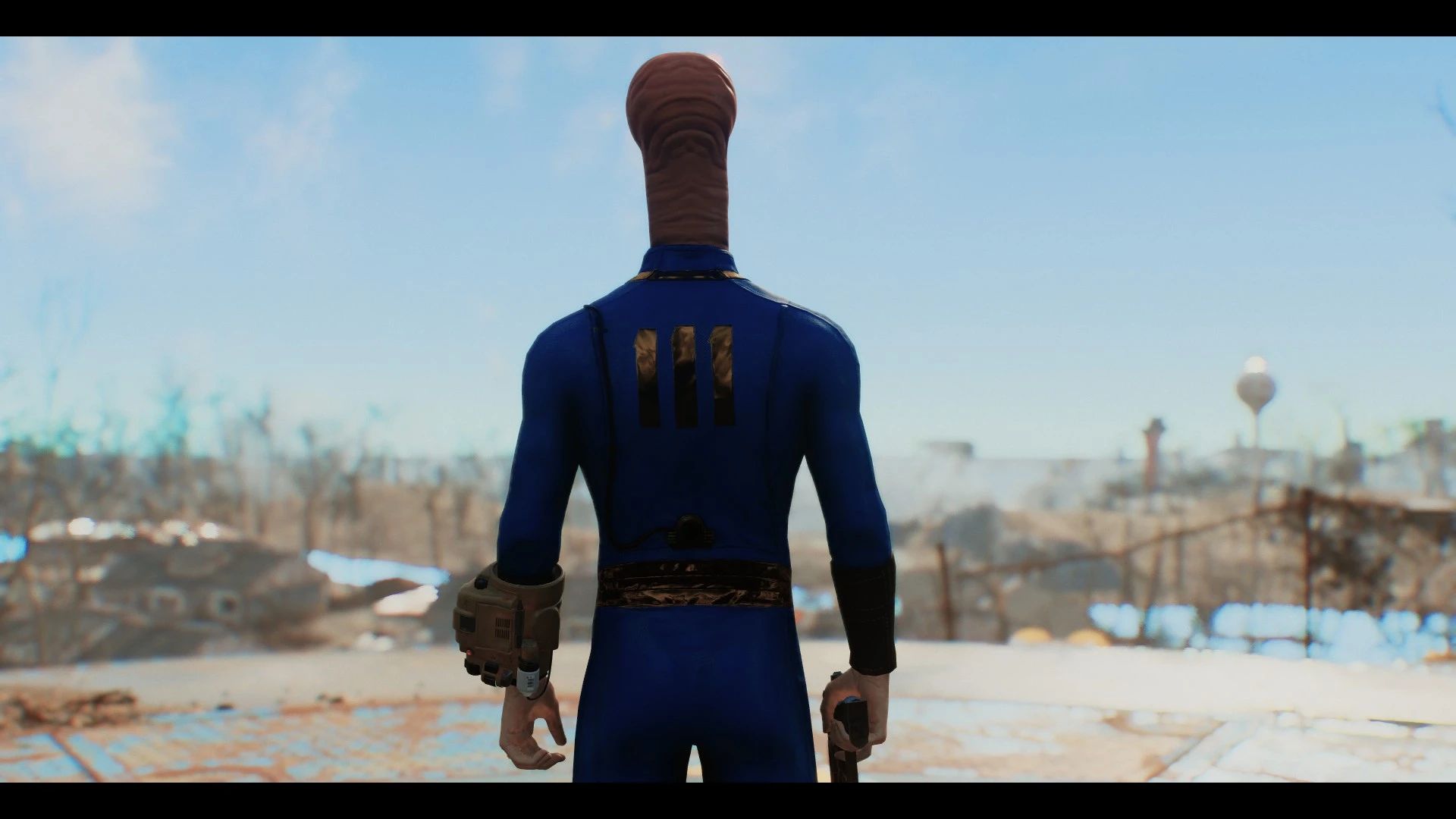 Meat mod for Fallout 4