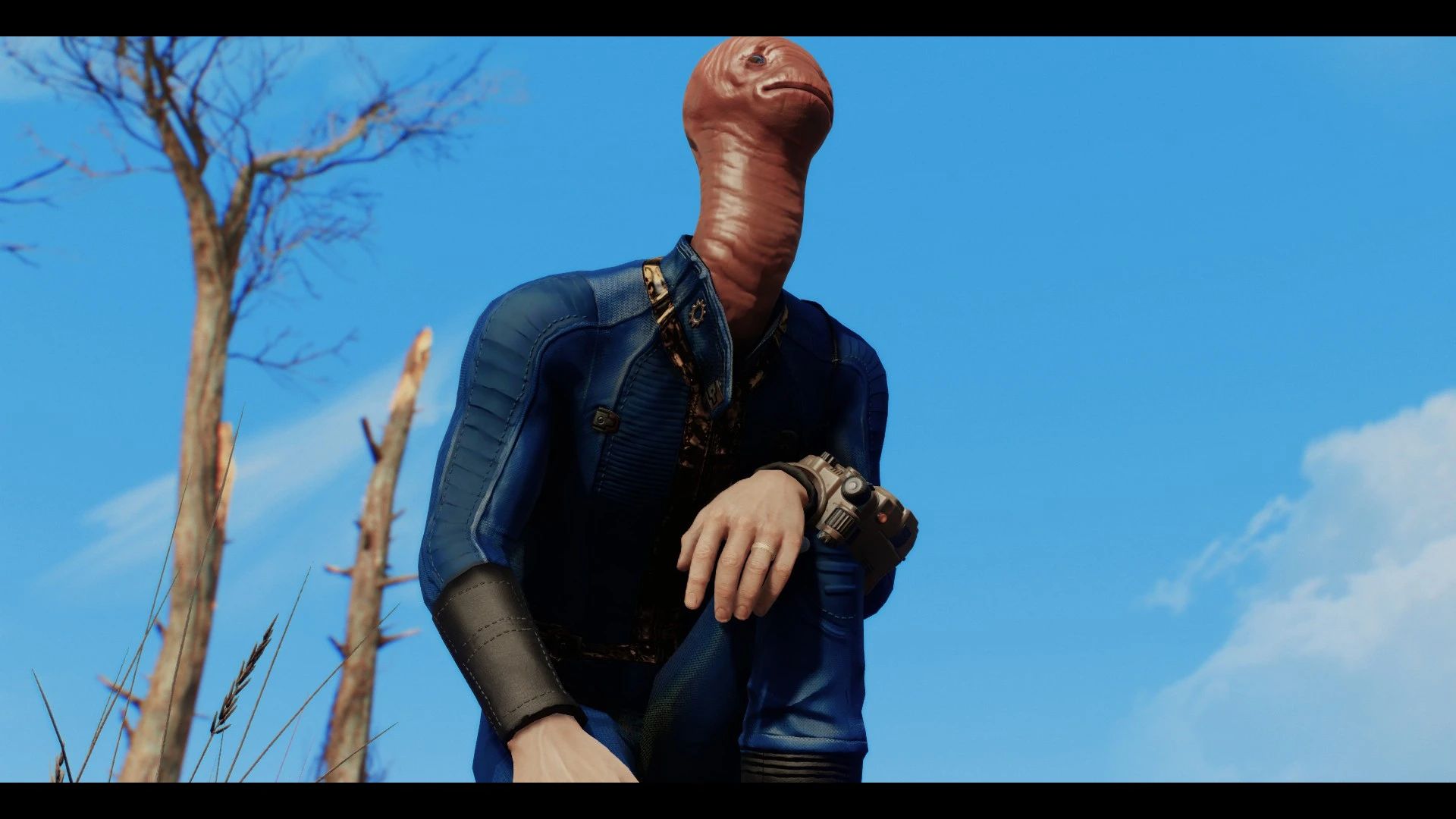 Meat mod for Fallout 4