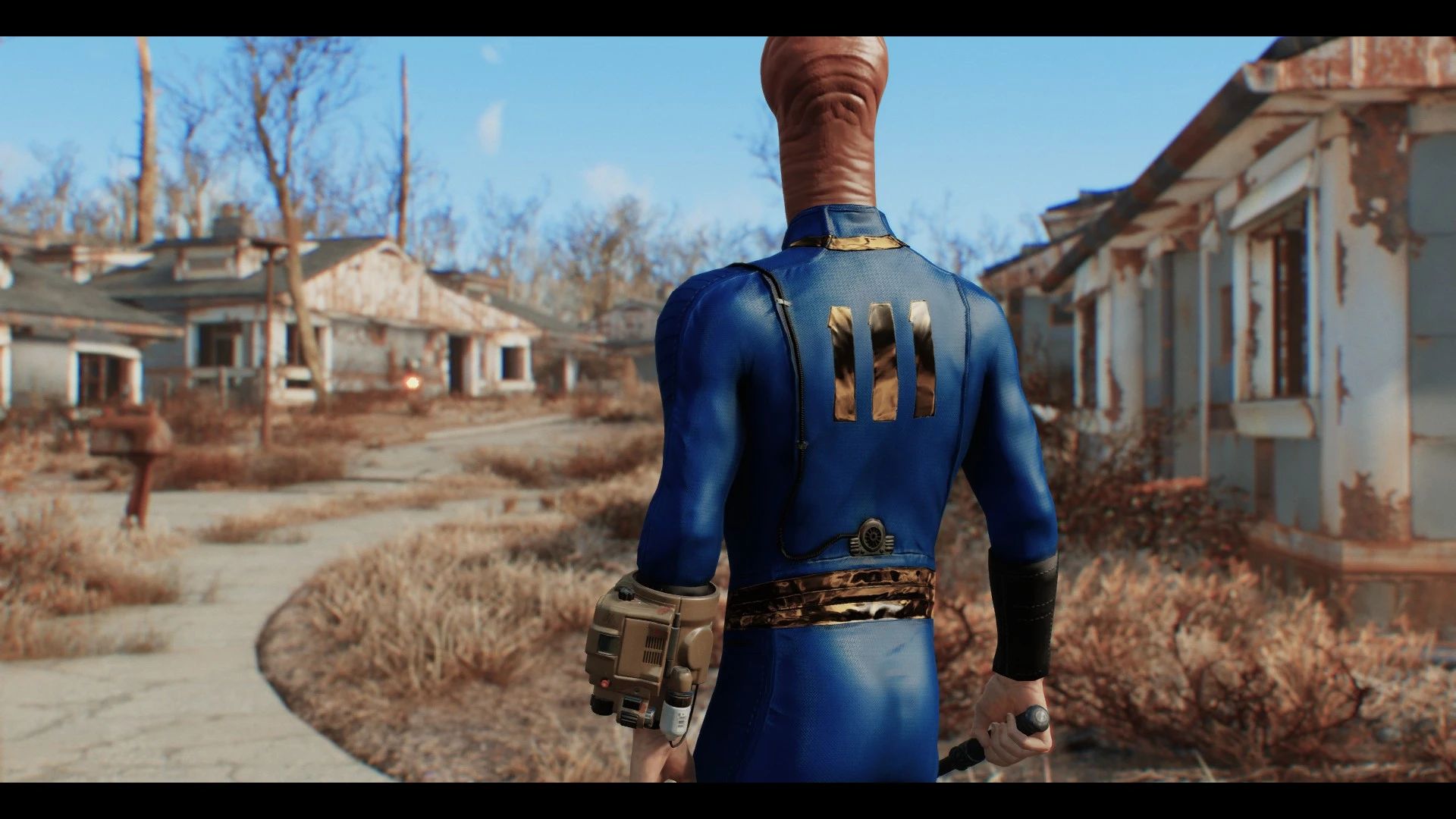 Meat mod for Fallout 4