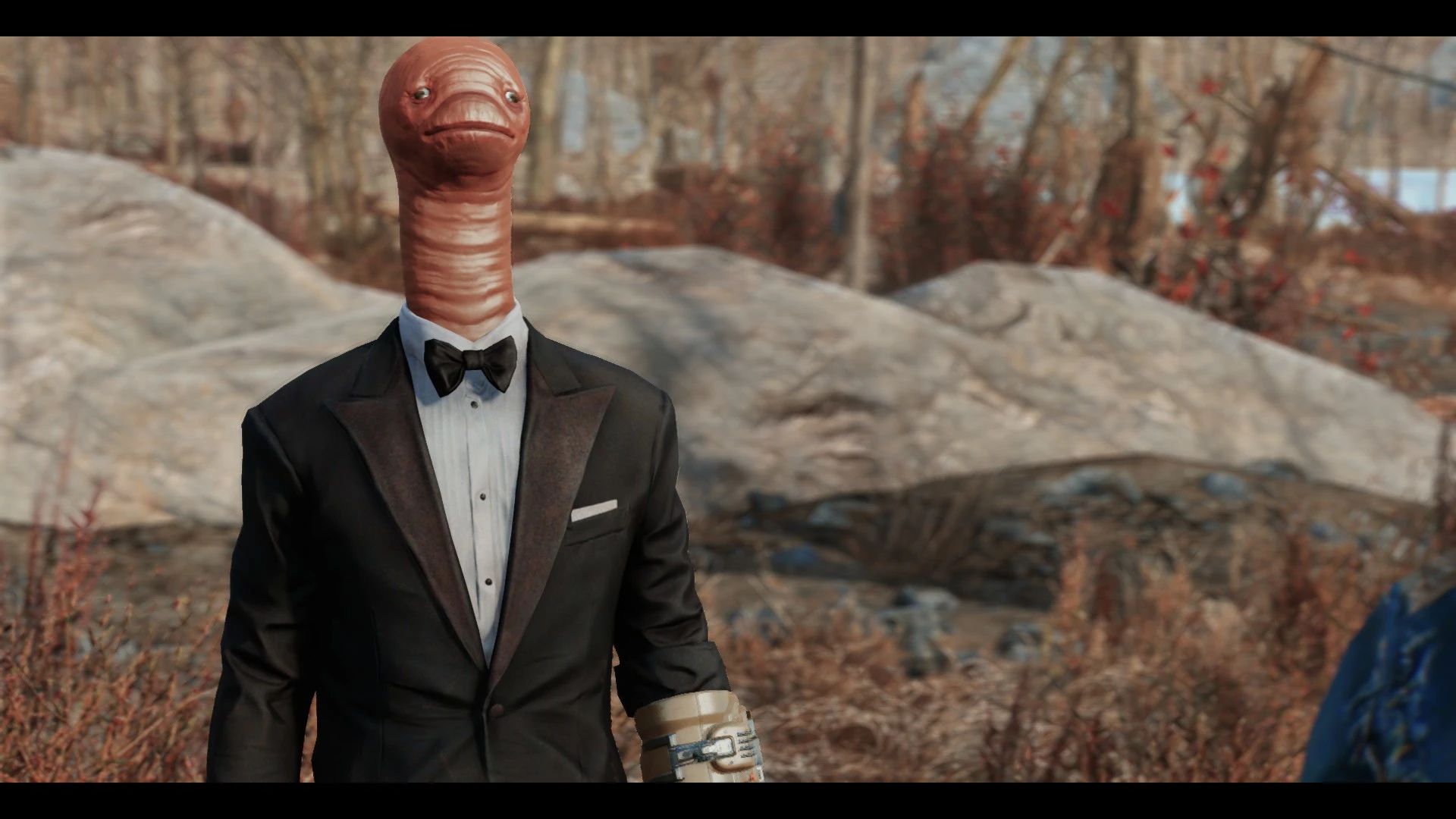 Meat mod for Fallout 4