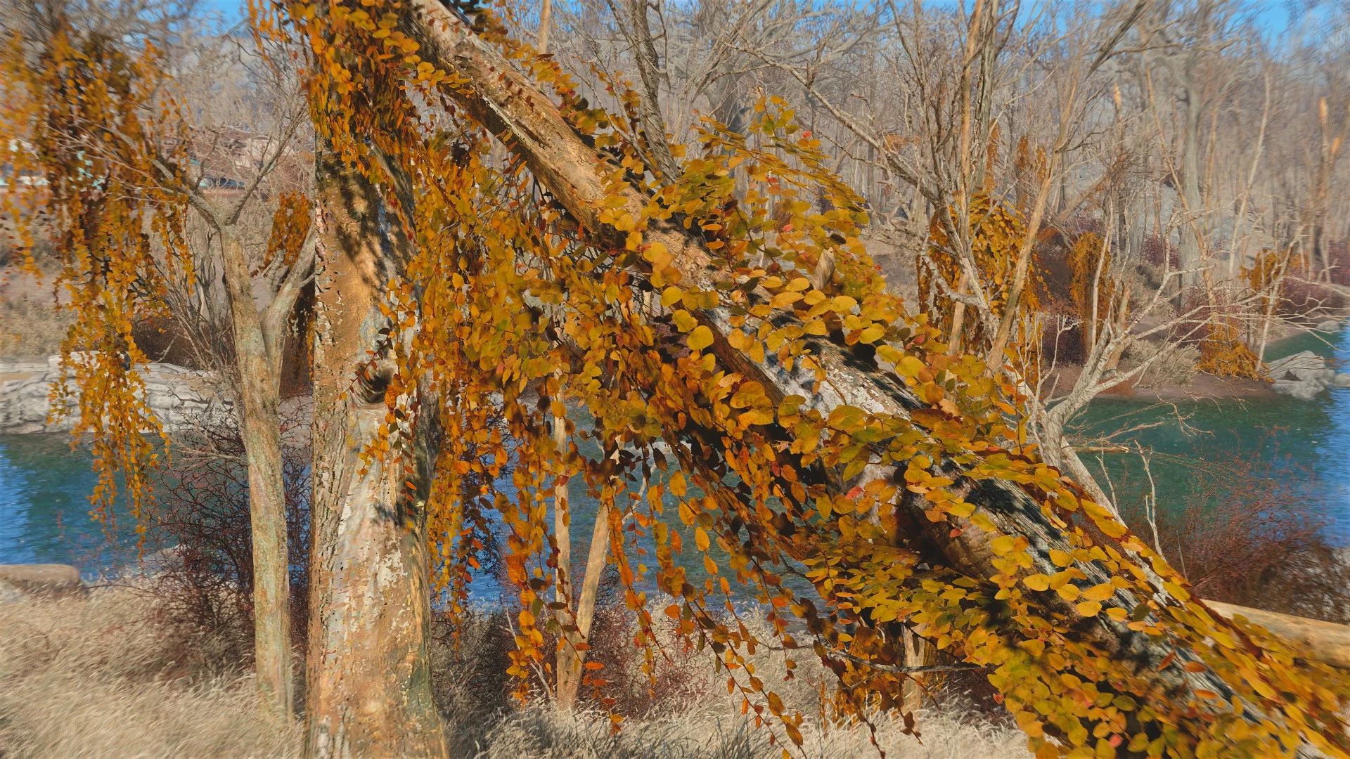 Natural Ivy mod for Fallout 4