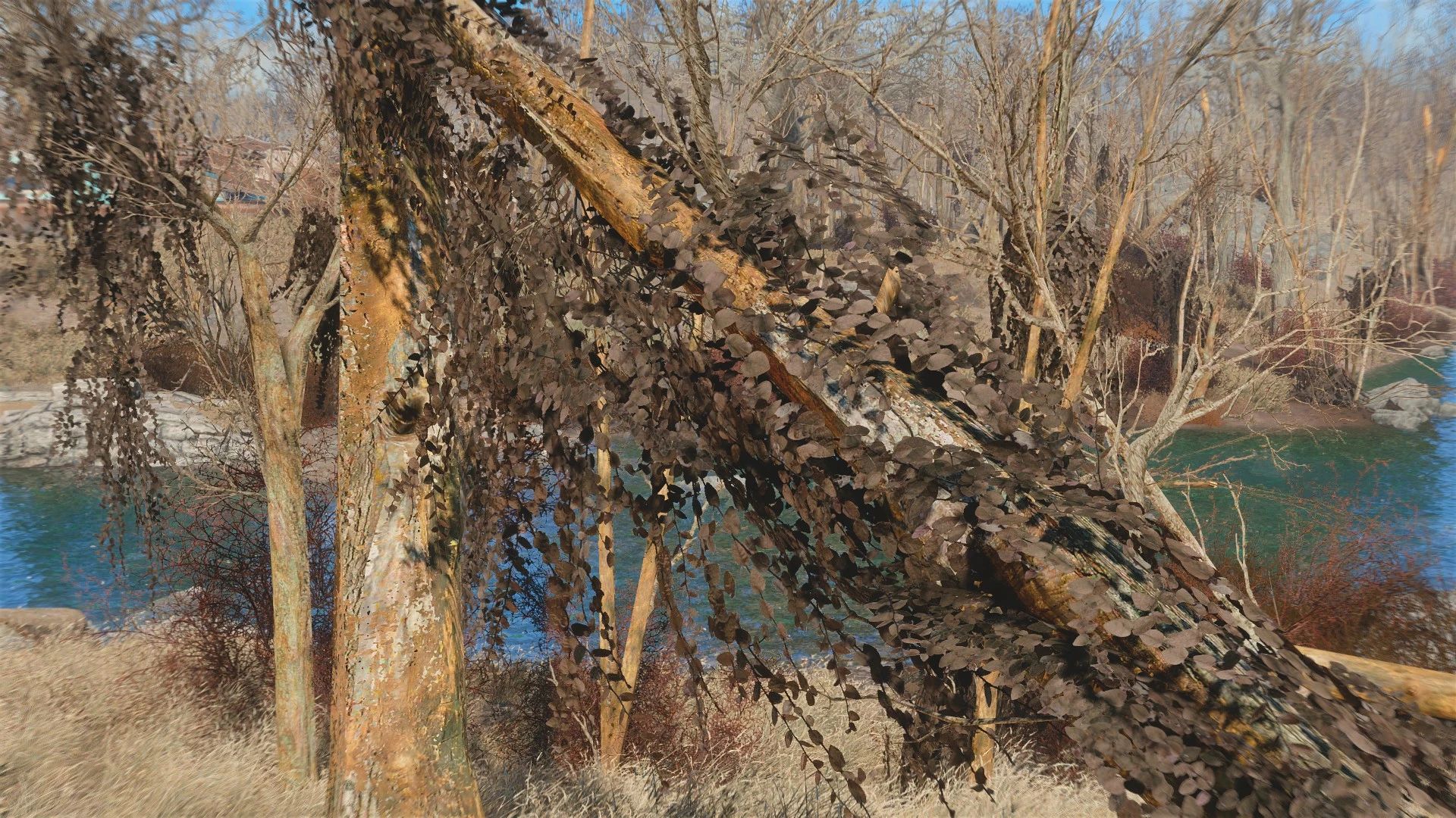 Natural Ivy mod for Fallout 4