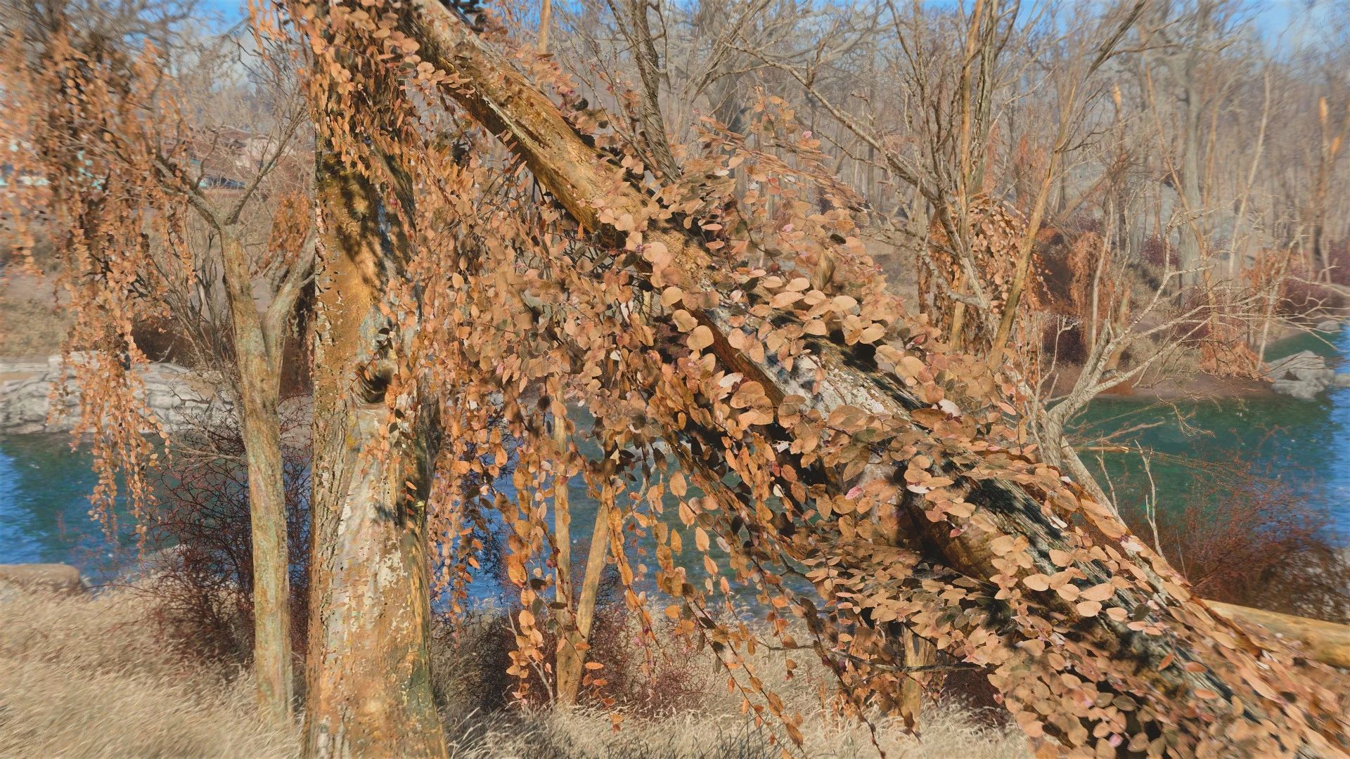 Natural Ivy mod for Fallout 4