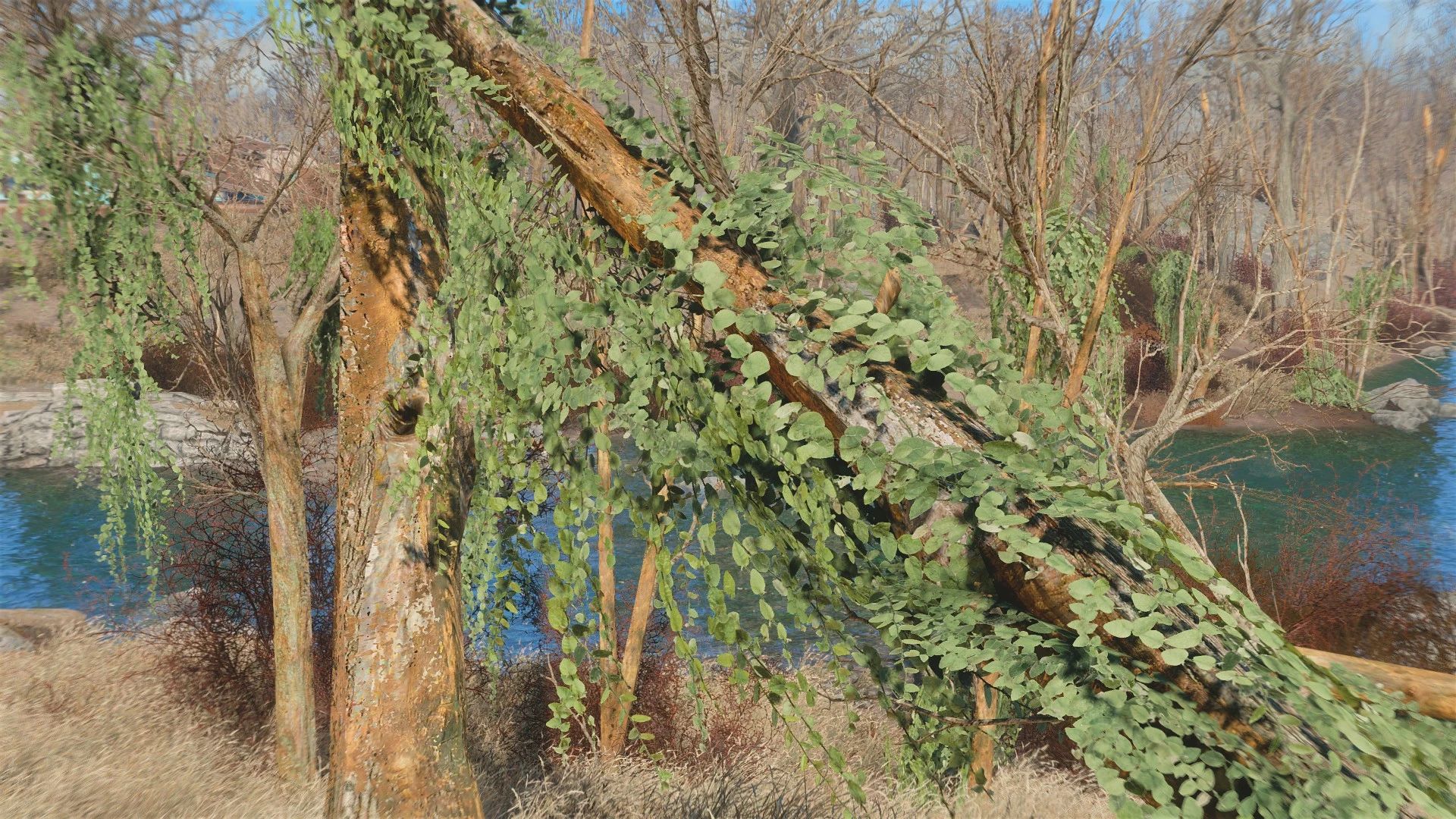 Natural Ivy mod for Fallout 4