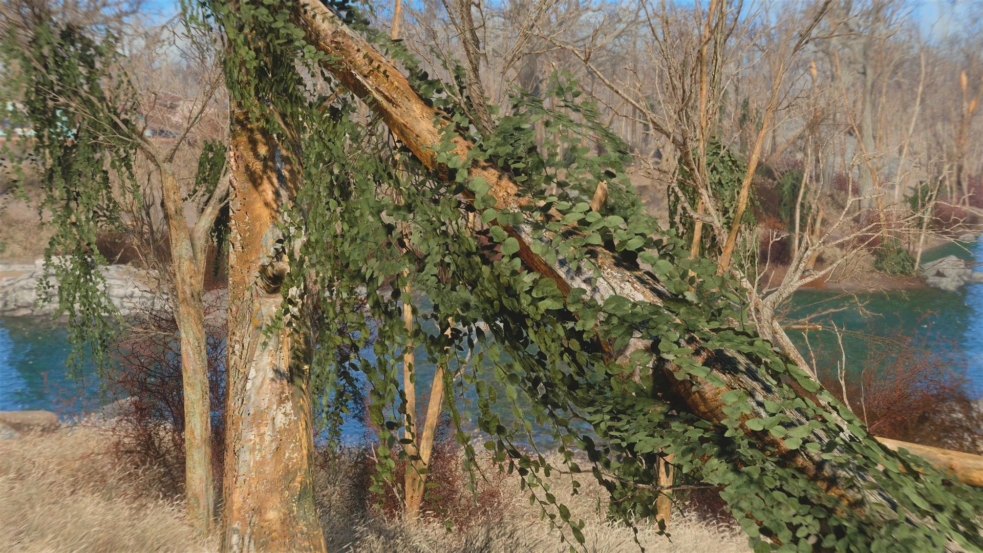 Natural Ivy mod for Fallout 4