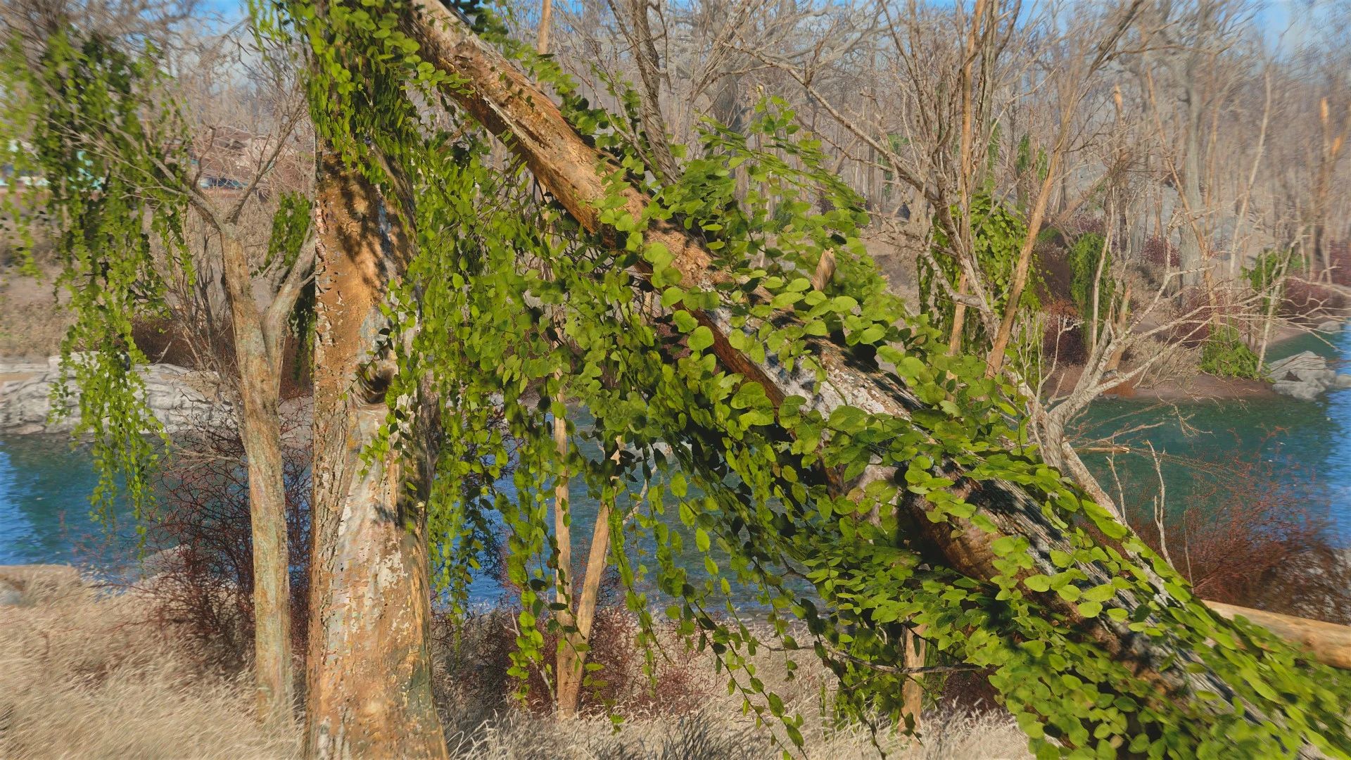 Natural Ivy mod for Fallout 4