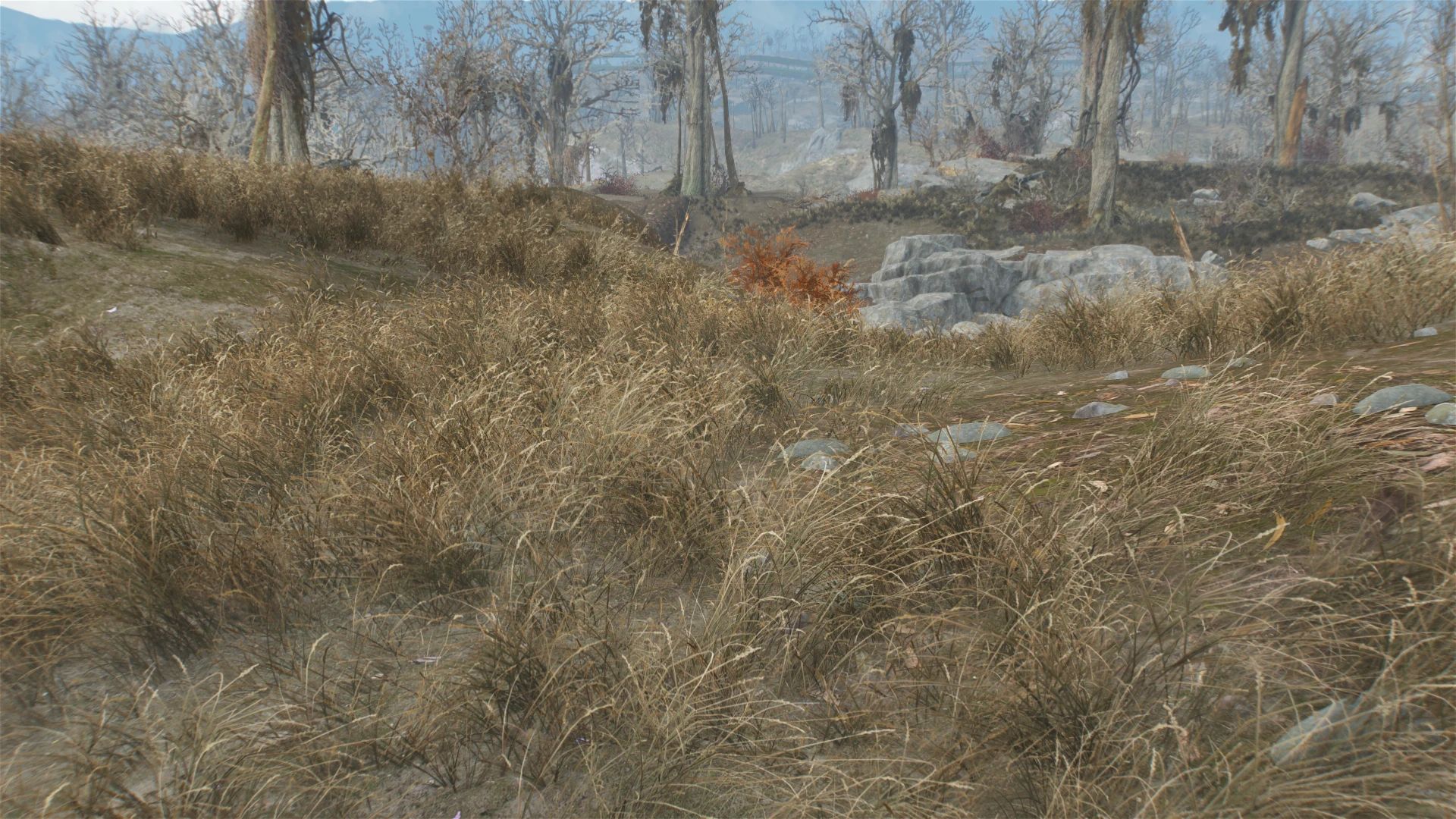 Natural Groundcovers mod for Fallout 4