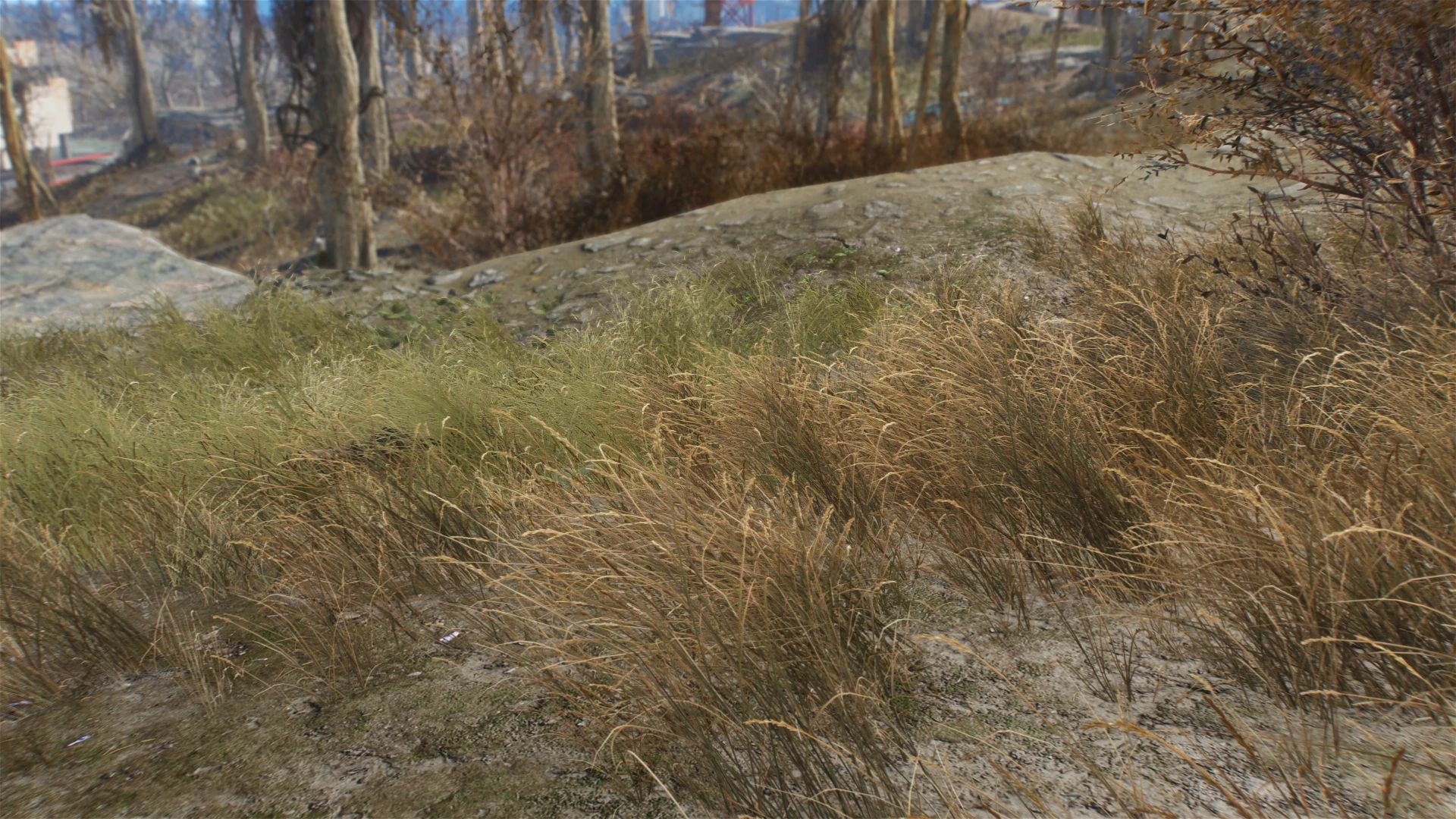 Natural Groundcovers mod for Fallout 4