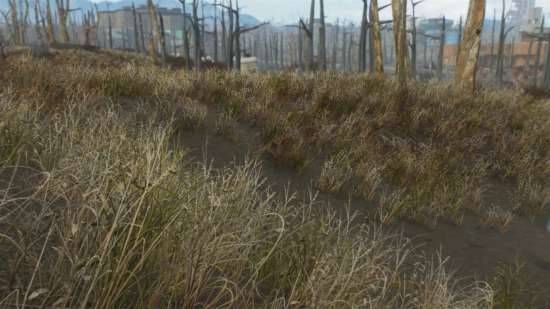 Natural Groundcovers mod for Fallout 4