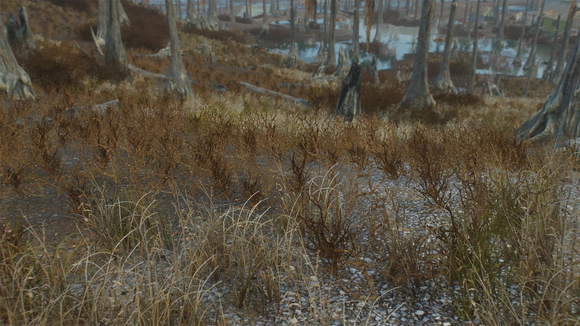 Natural Groundcovers mod for Fallout 4