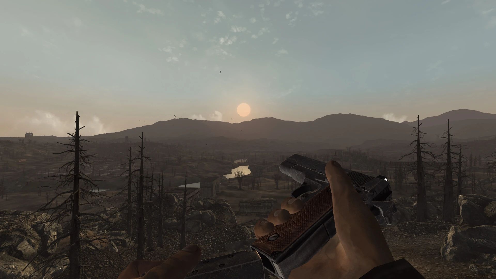 FNV Clean Animations - Part 1 mod for Fallout: New Vegas