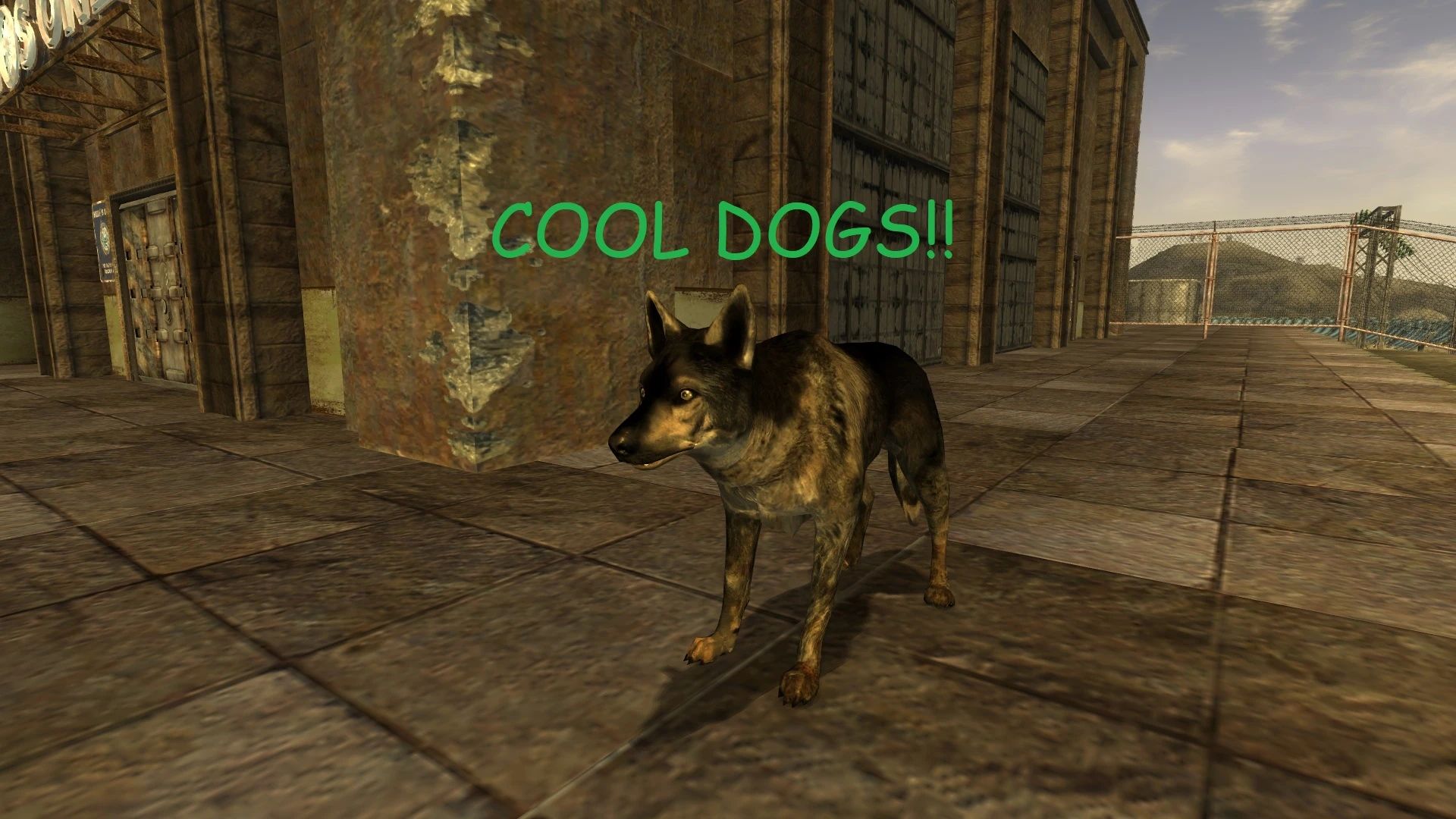 Cool Dogs mod for Fallout: New Vegas