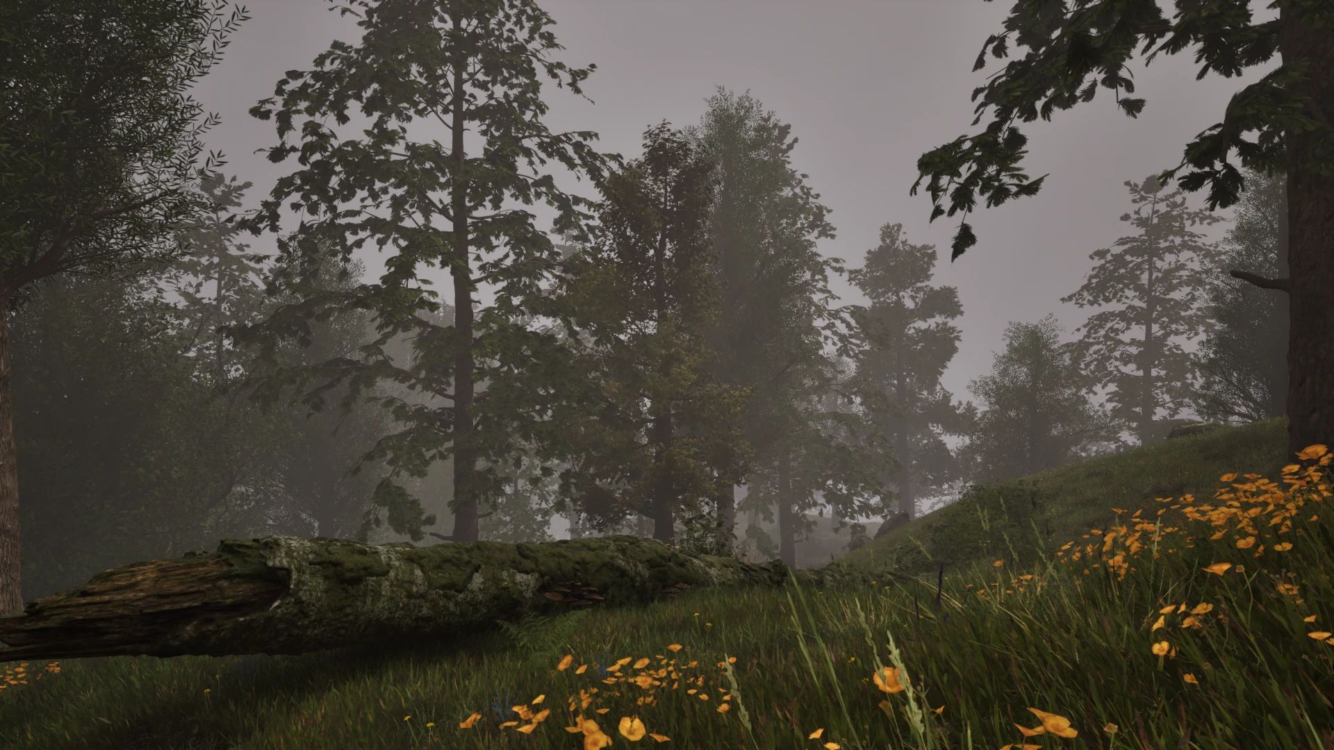 Climates Revised mod for The Elder Scrolls IV: Oblivion Remastered