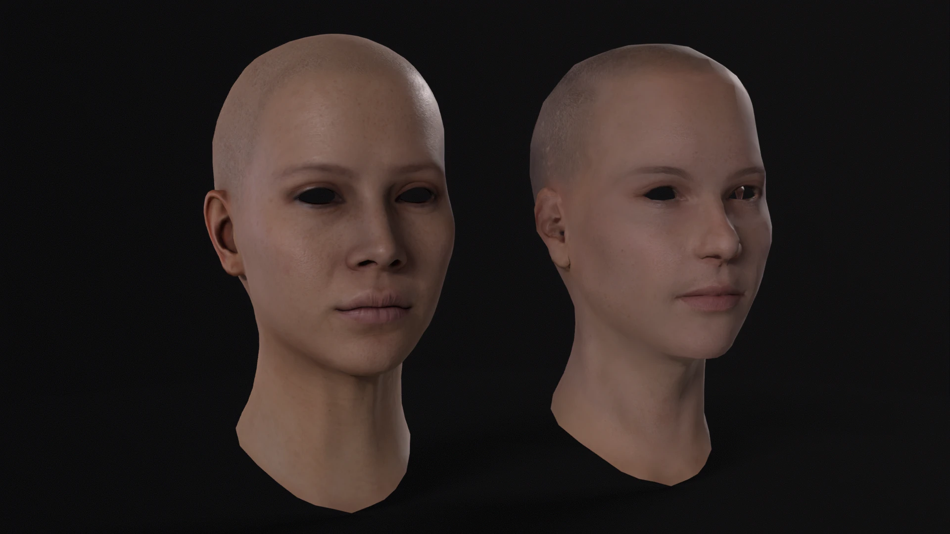 Character Kit Remake mod for Fallout: New Vegas