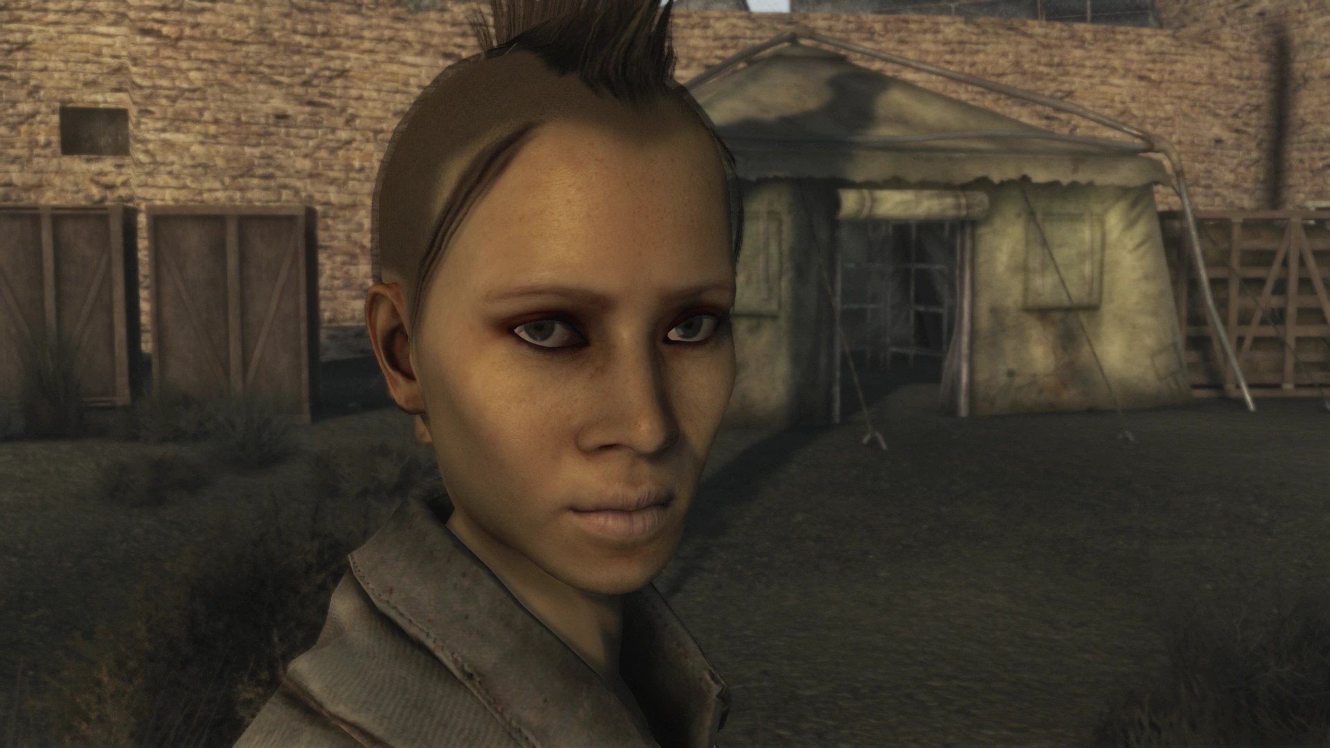 Character Kit Remake mod for Fallout: New Vegas