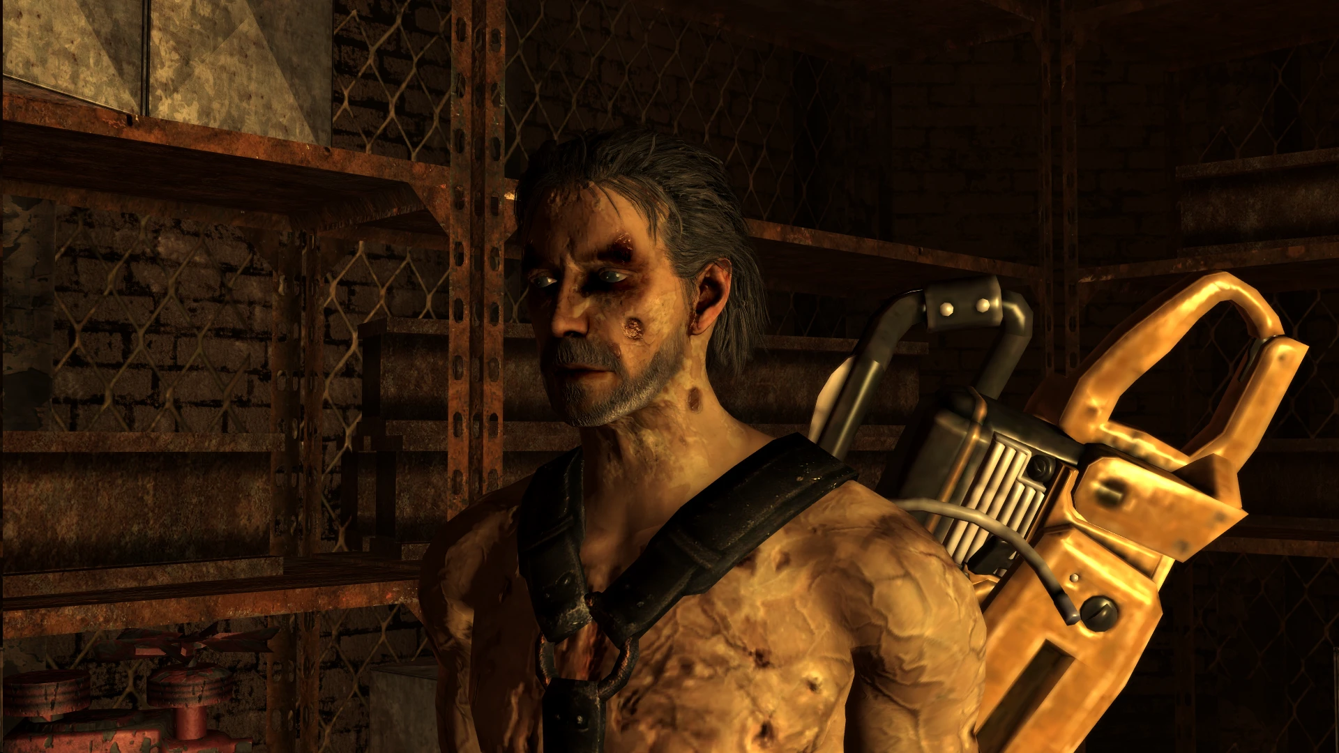 Character Kit Remake mod for Fallout: New Vegas