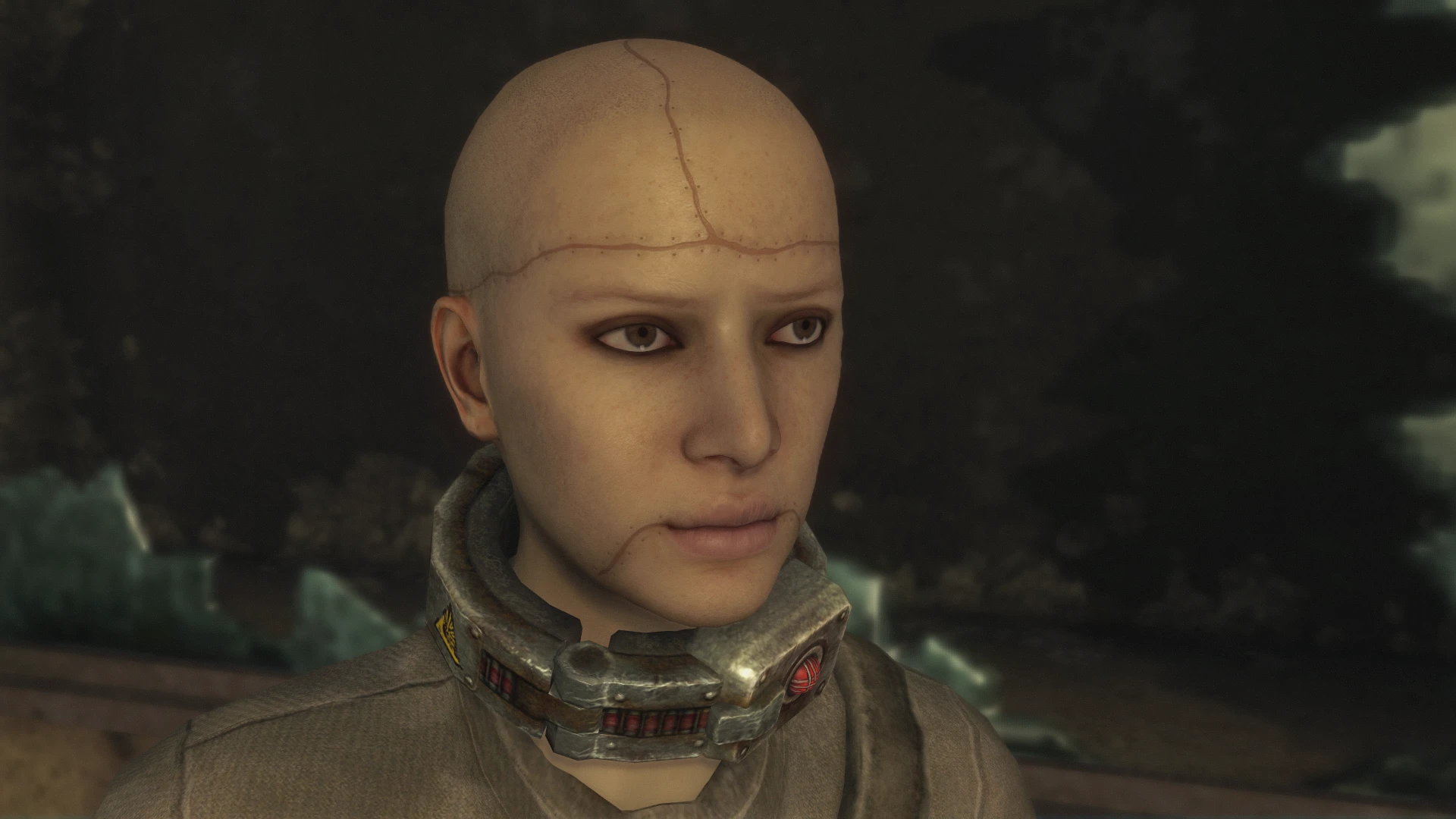 Character Kit Remake mod for Fallout: New Vegas