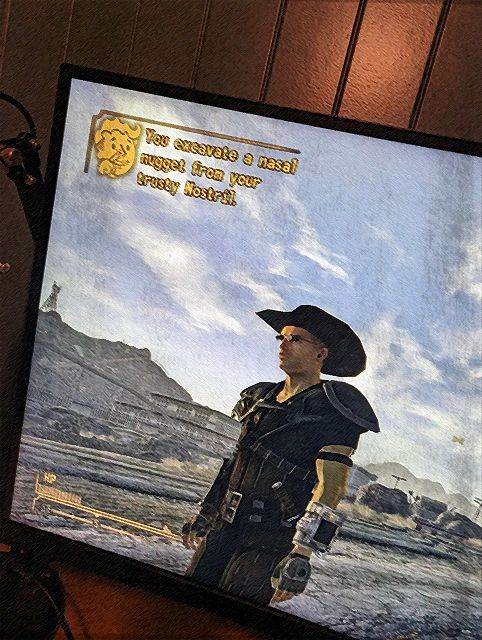 Sinus Maintenance Redux mod for Fallout: New Vegas