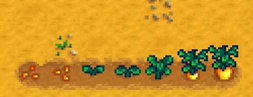 Magical Crops mod for Stardew Valley
