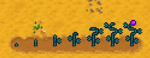 Magical Crops mod for Stardew Valley