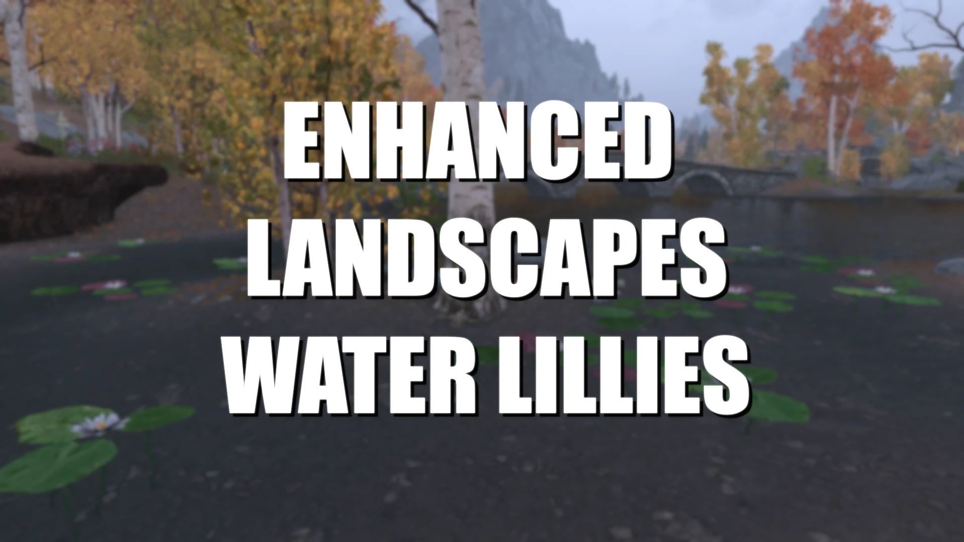 Enhanced Landscapes - Water Lilies mod for The Elder Scrolls V: Skyrim Special Edition