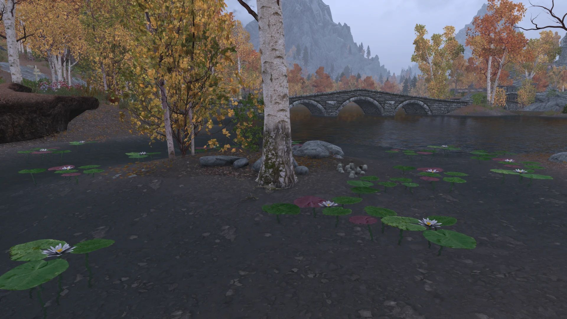 Enhanced Landscapes - Water Lilies mod for The Elder Scrolls V: Skyrim Special Edition