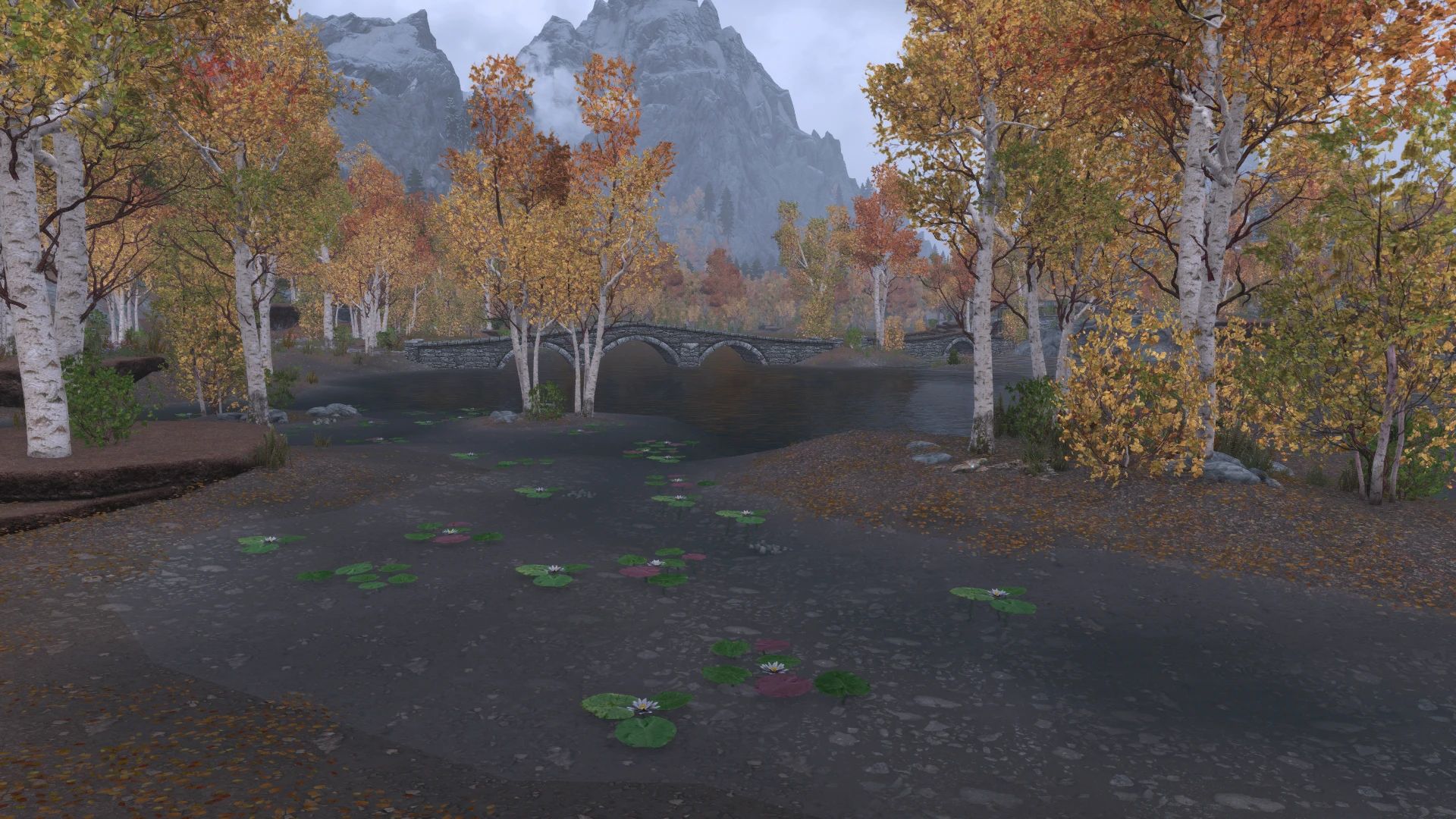 Enhanced Landscapes - Water Lilies mod for The Elder Scrolls V: Skyrim Special Edition