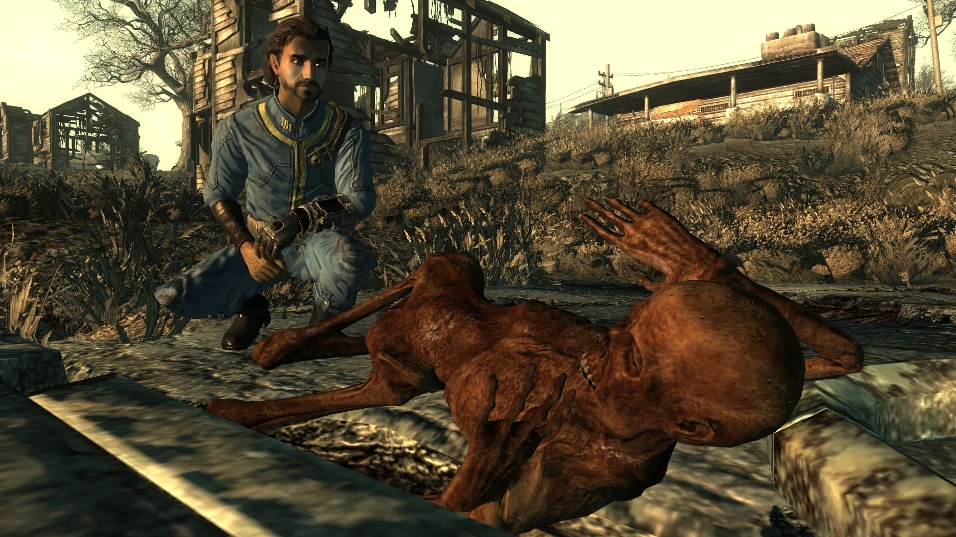 [TTW] Wasteland Decay mod for Fallout: New Vegas