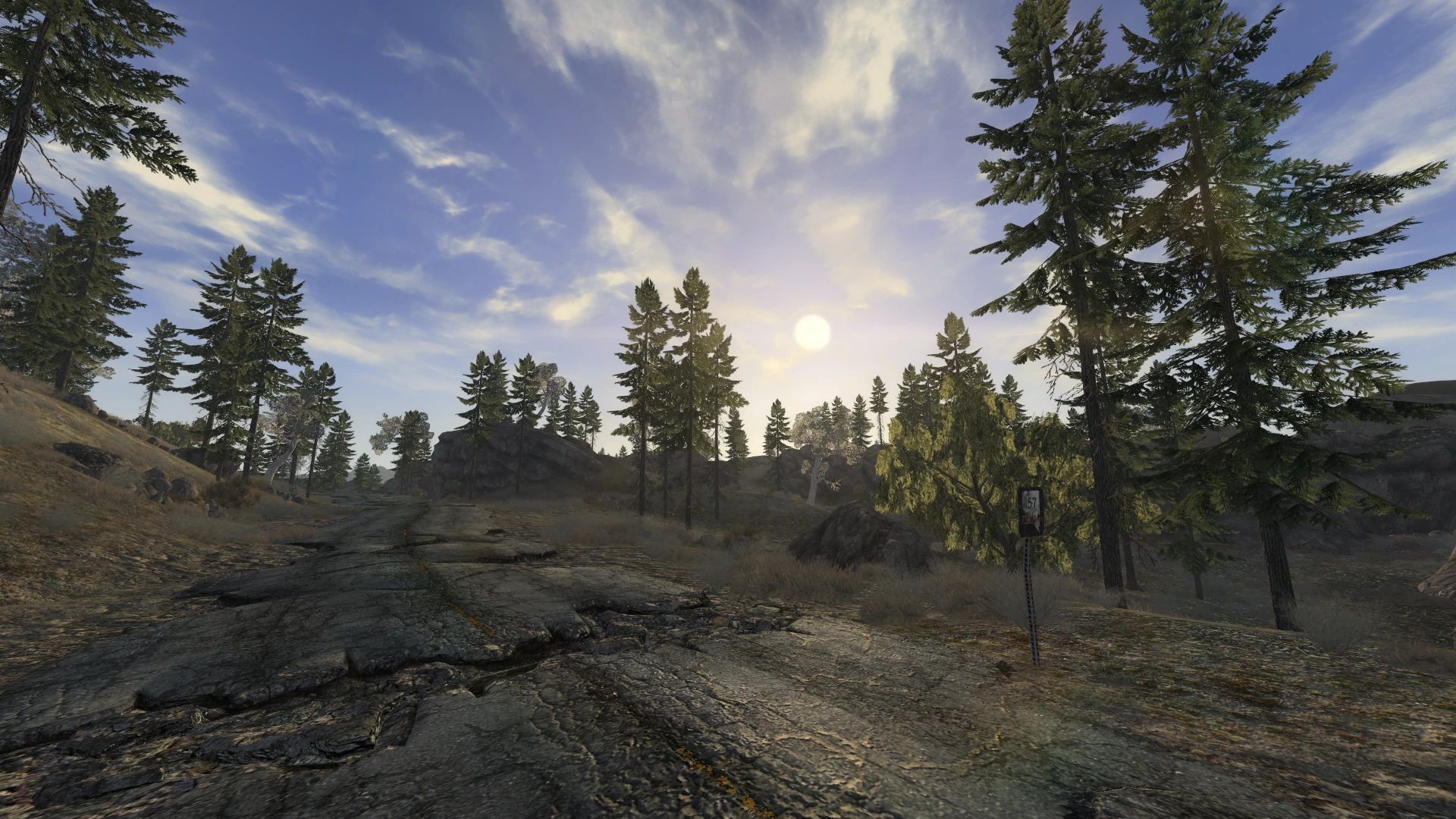 Spruce Forest mod for Fallout: New Vegas