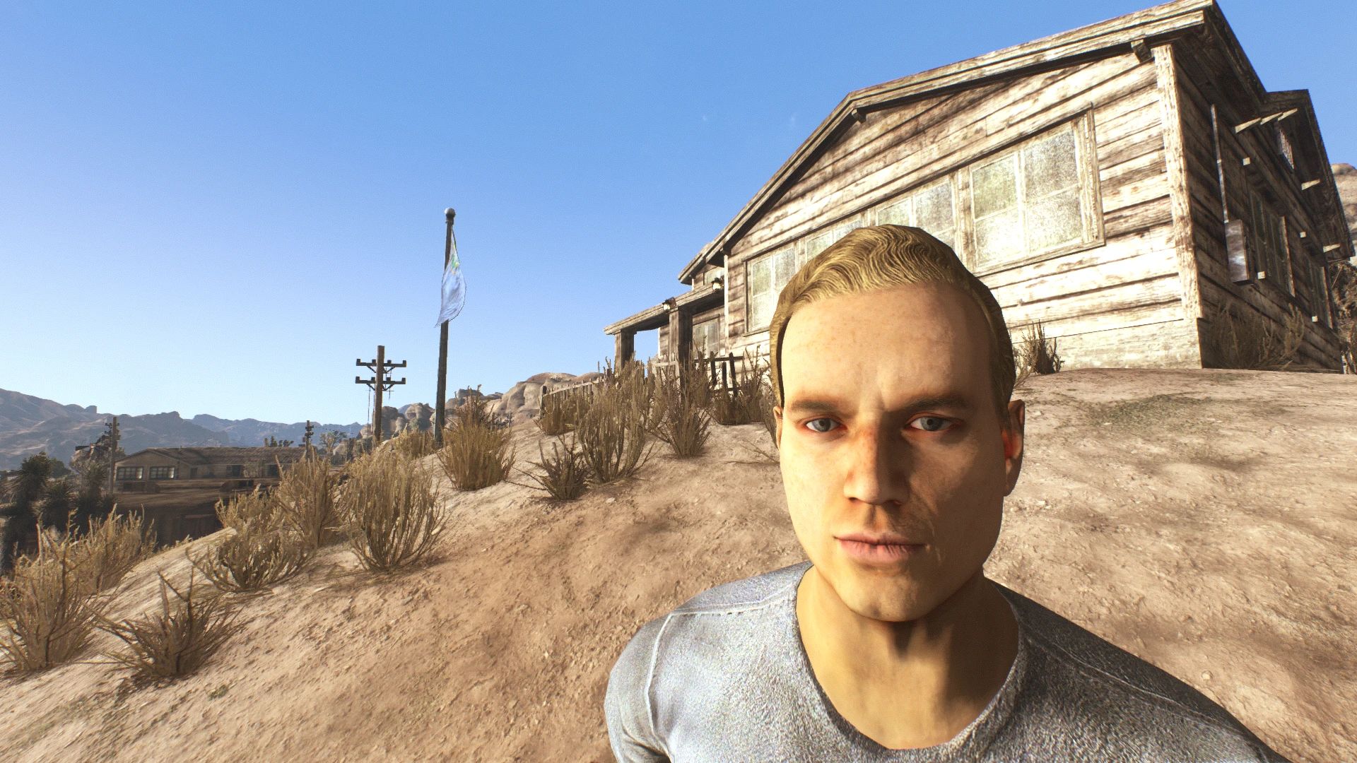 Vanilla Plus Skin mod for Fallout: New Vegas