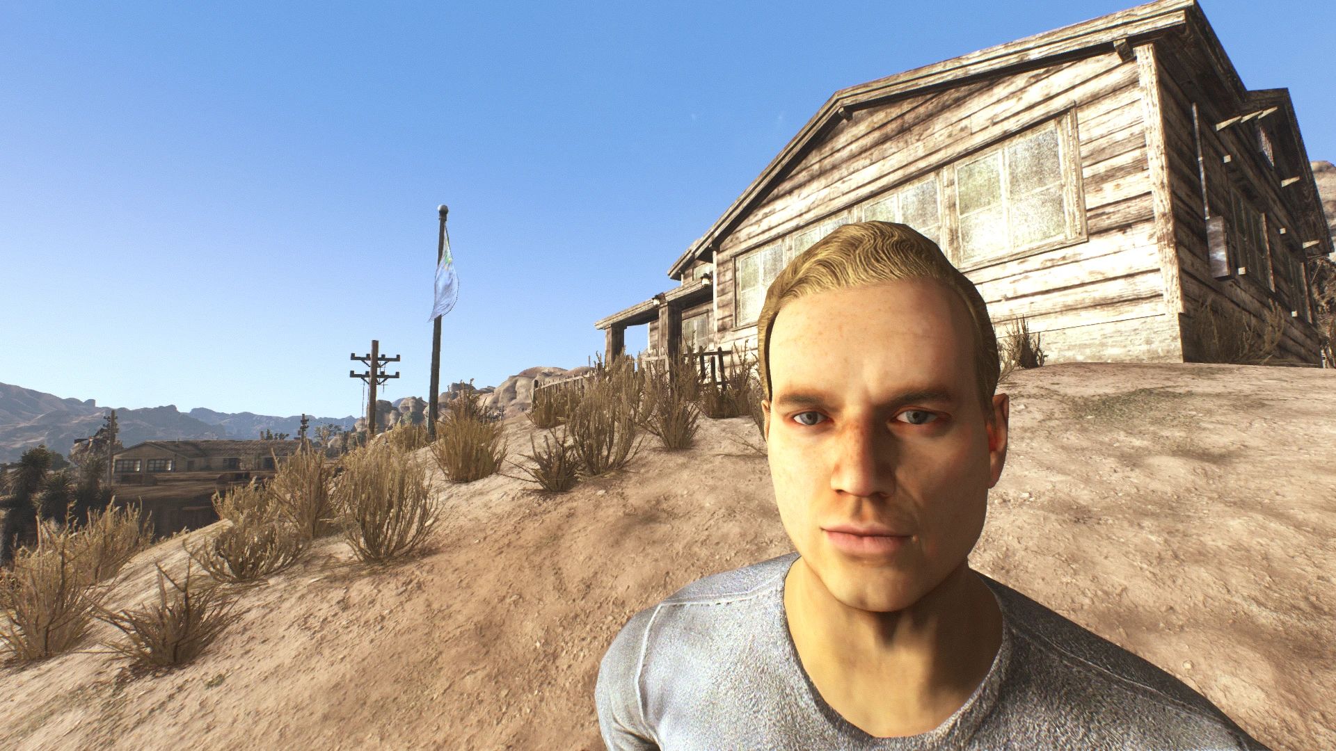 Vanilla Plus Skin mod for Fallout: New Vegas