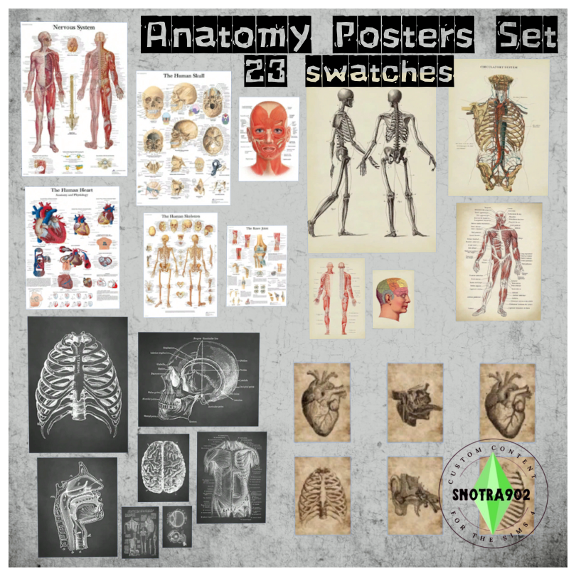 Anatomy Posters Set mod for The Sims 4 