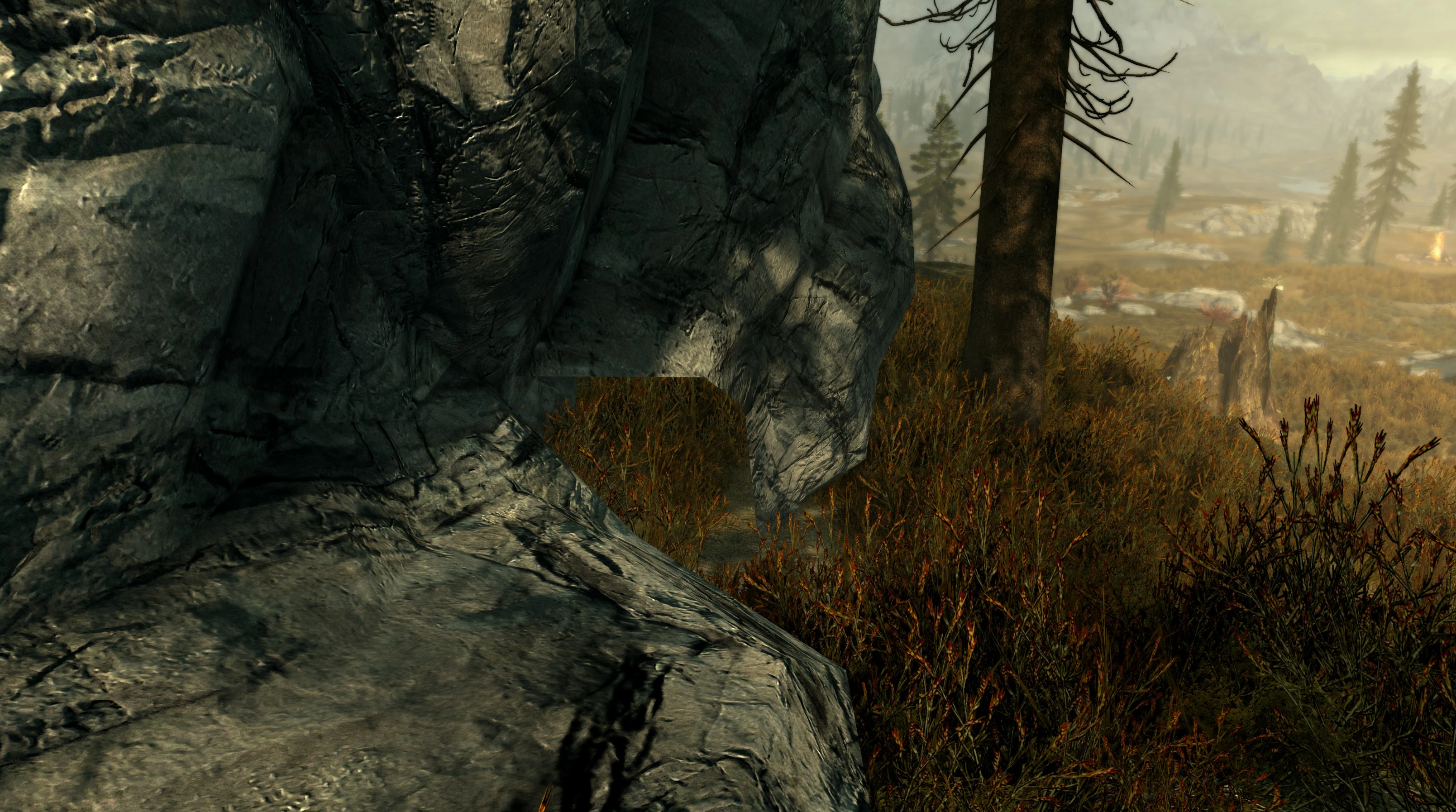 ChickenMike's Mod Tweaks and Fixes mod for The Elder Scrolls V: Skyrim Special Edition