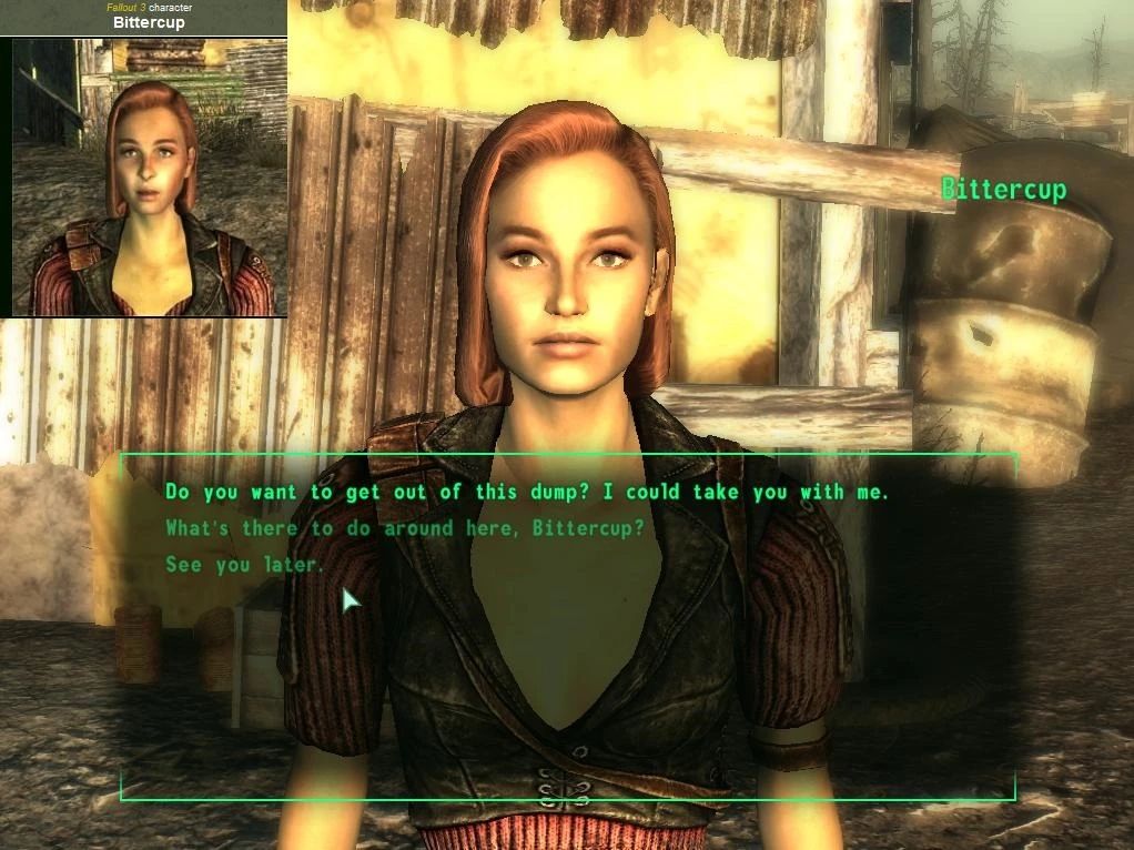 Two Wastelands Redesigned mod for Fallout: New Vegas
