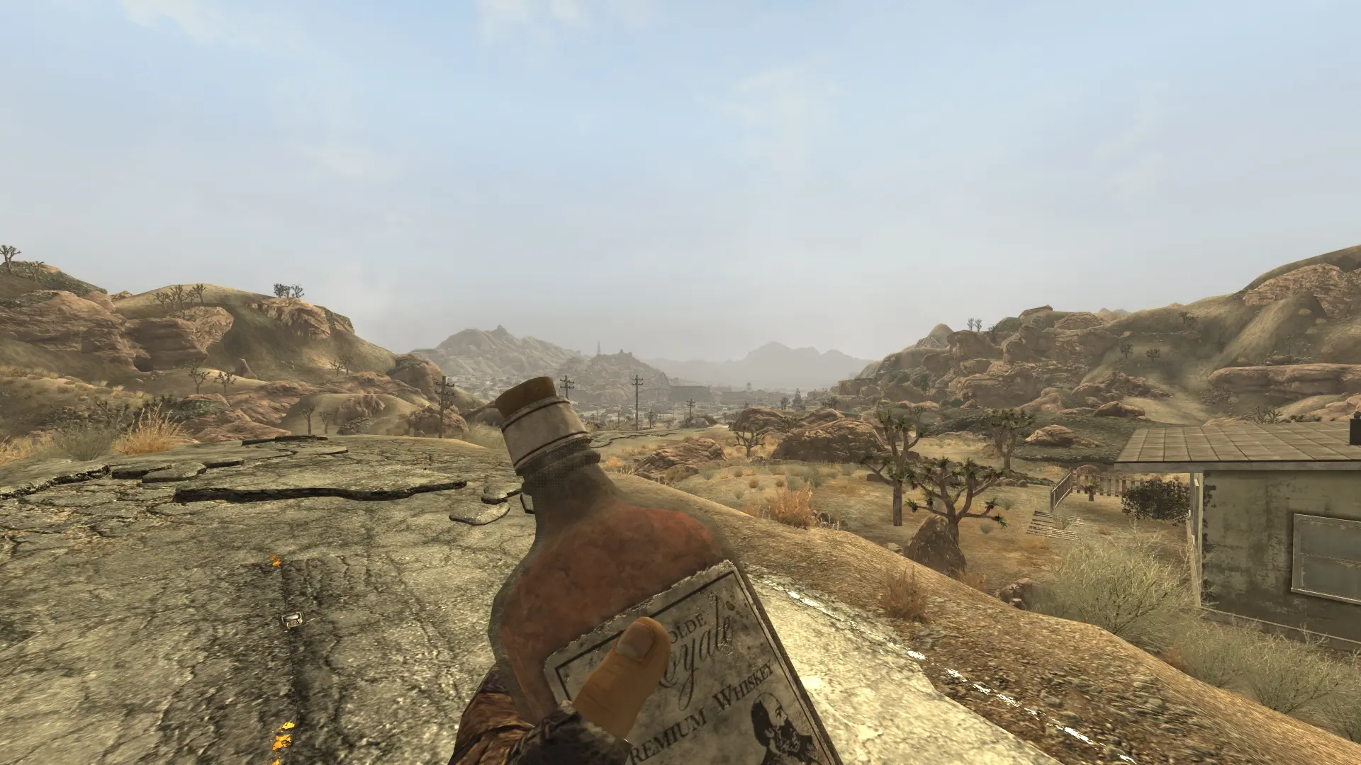 Hit - B42 Inject Animation Pack - Season 1 mod for Fallout: New Vegas
