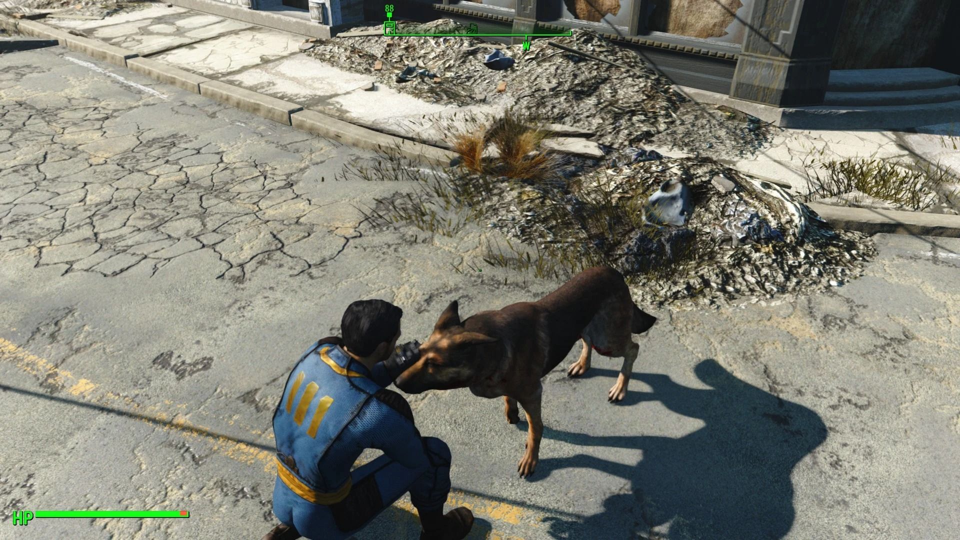 Pet - Call - Feed Dogmeat mod for Fallout 4