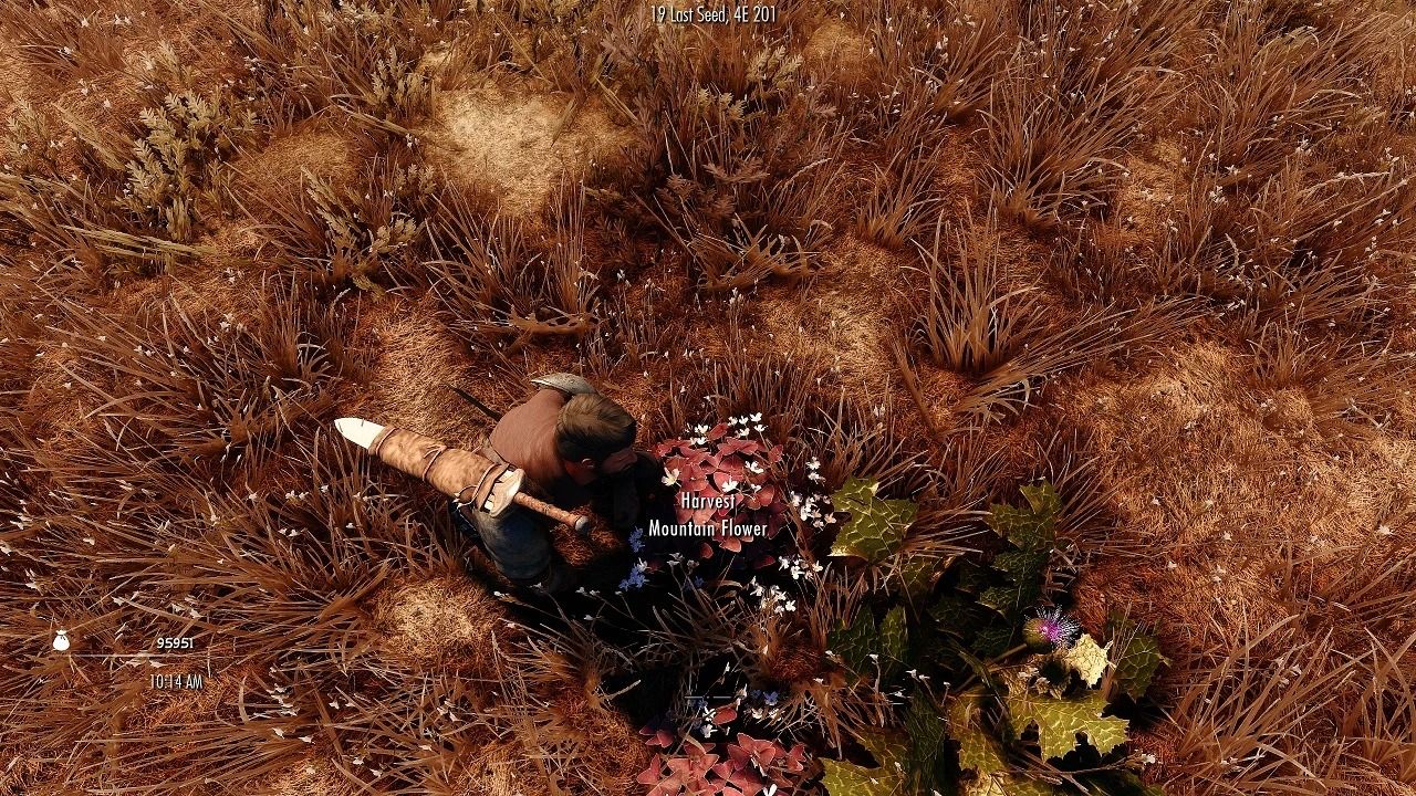 (Super Fast) Immersive Animated Looting mod for The Elder Scrolls V: Skyrim Special Edition