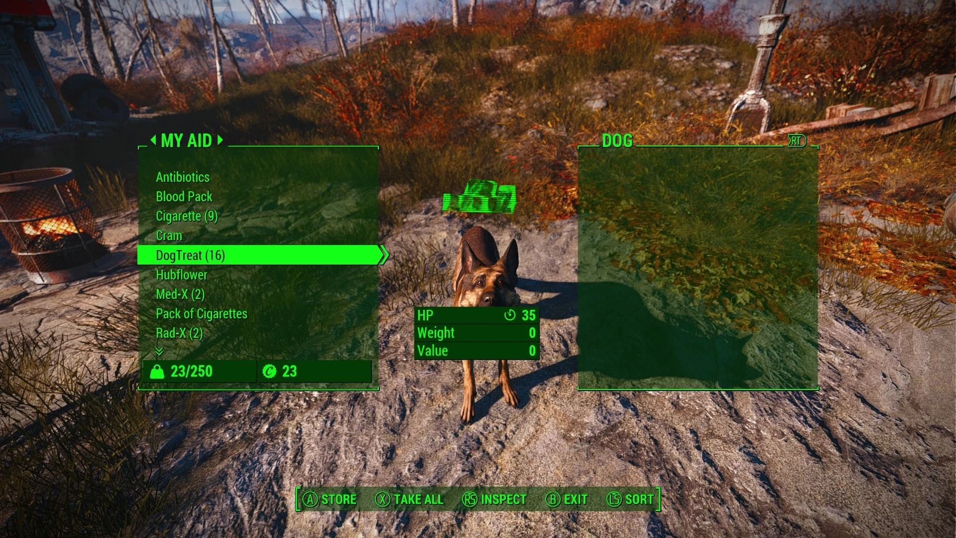 Pet - Call - Feed Dogmeat mod for Fallout 4