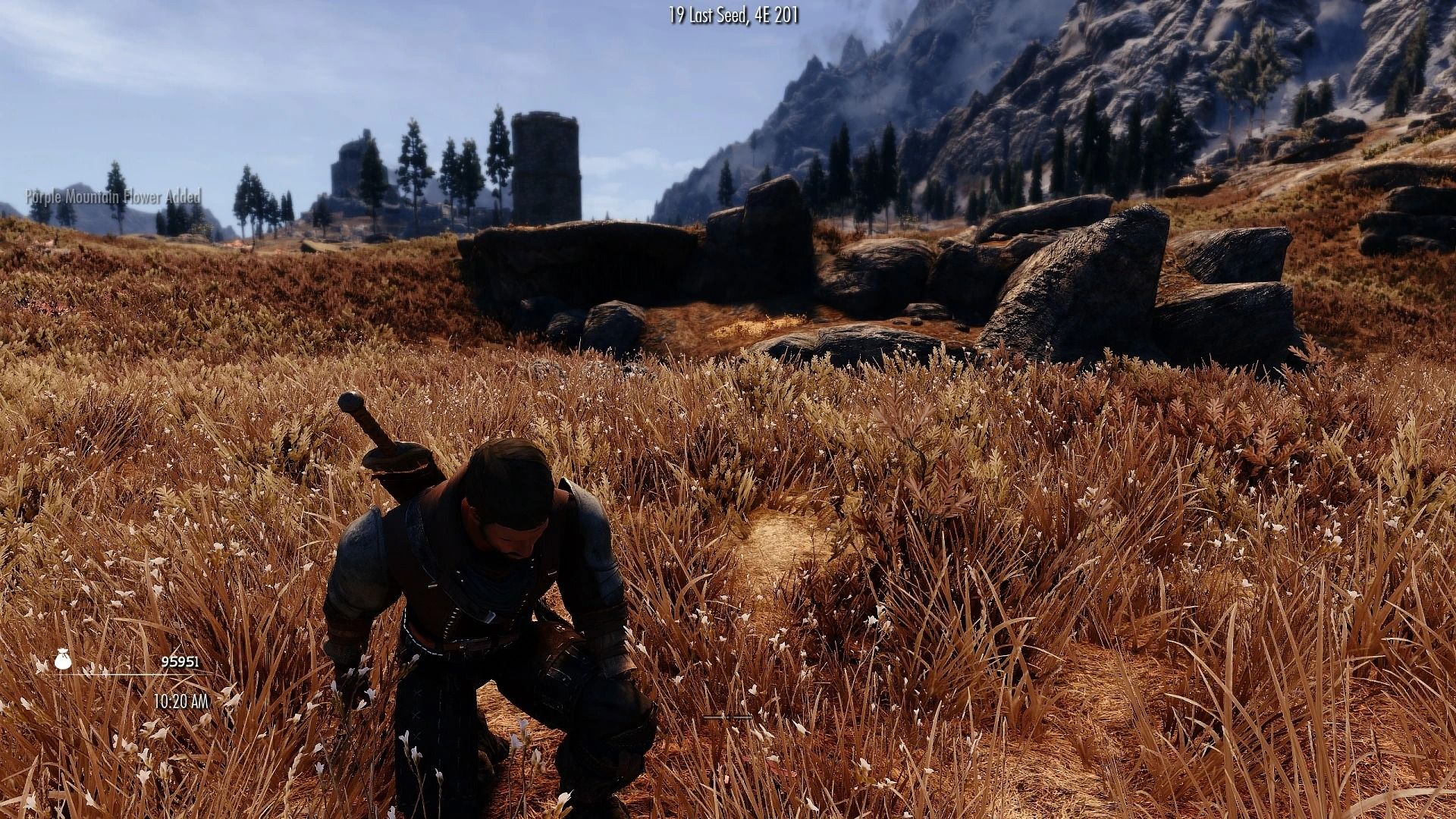 (Super Fast) Immersive Animated Looting mod for The Elder Scrolls V: Skyrim Special Edition